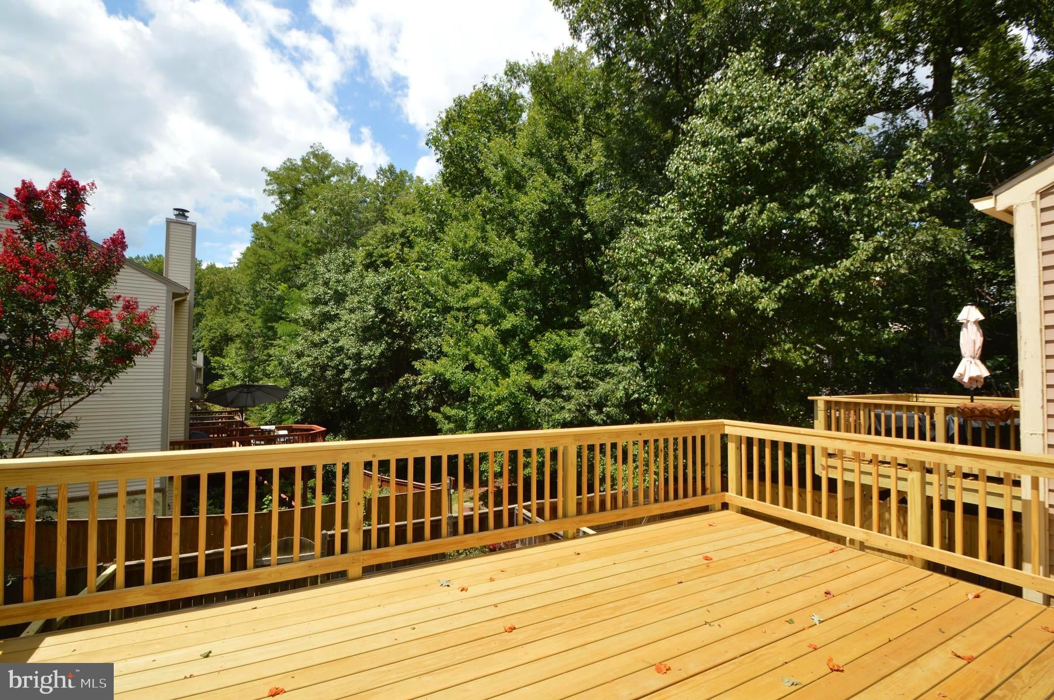 3926 COLLIS OAK COURT