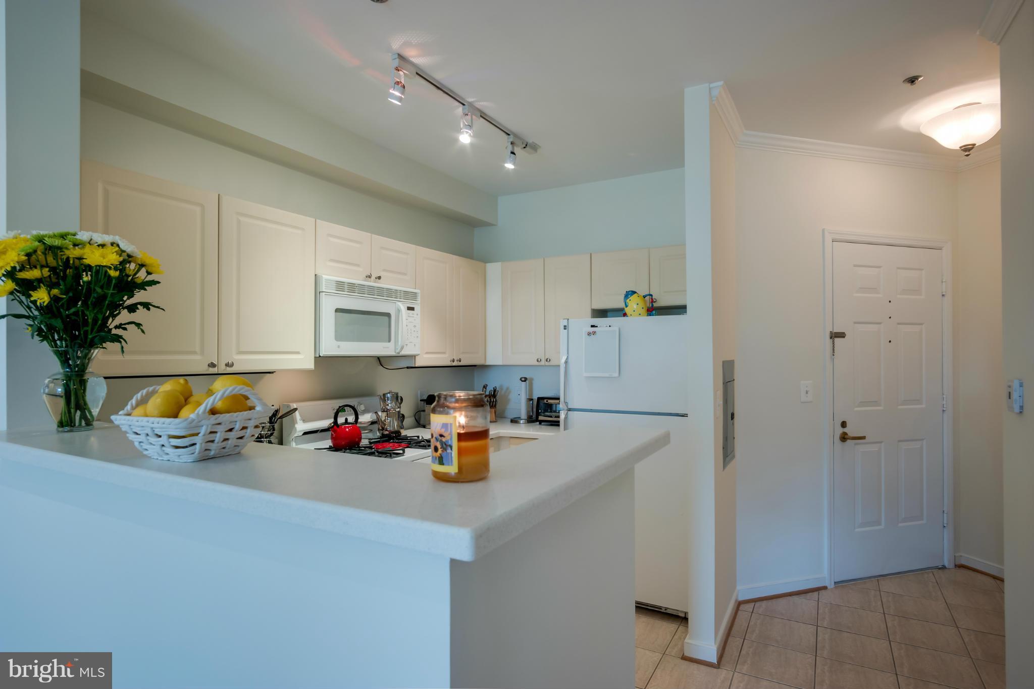 LILLIAN COURT AT TYSONS - Residential