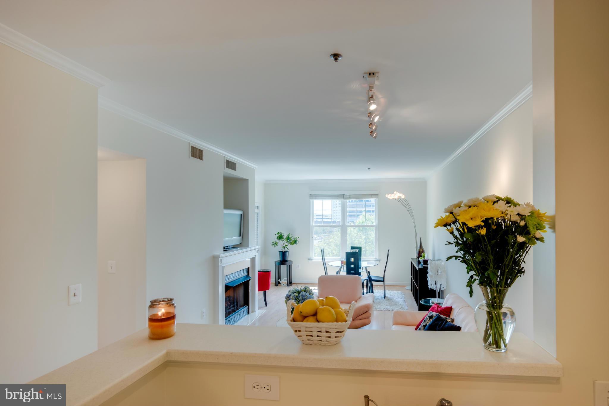 LILLIAN COURT AT TYSONS - Residential