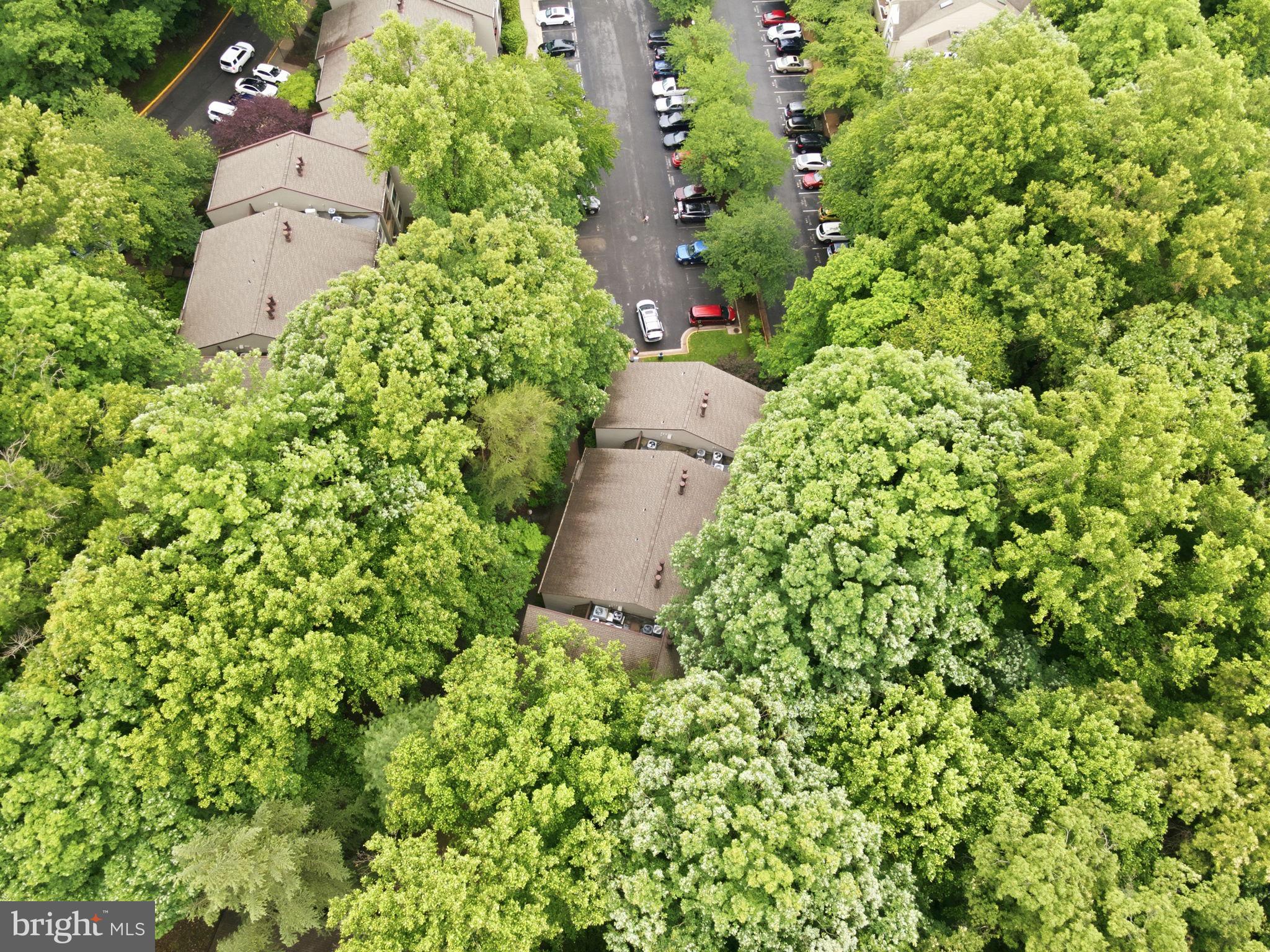 BRISTOL HOUSE - Residential