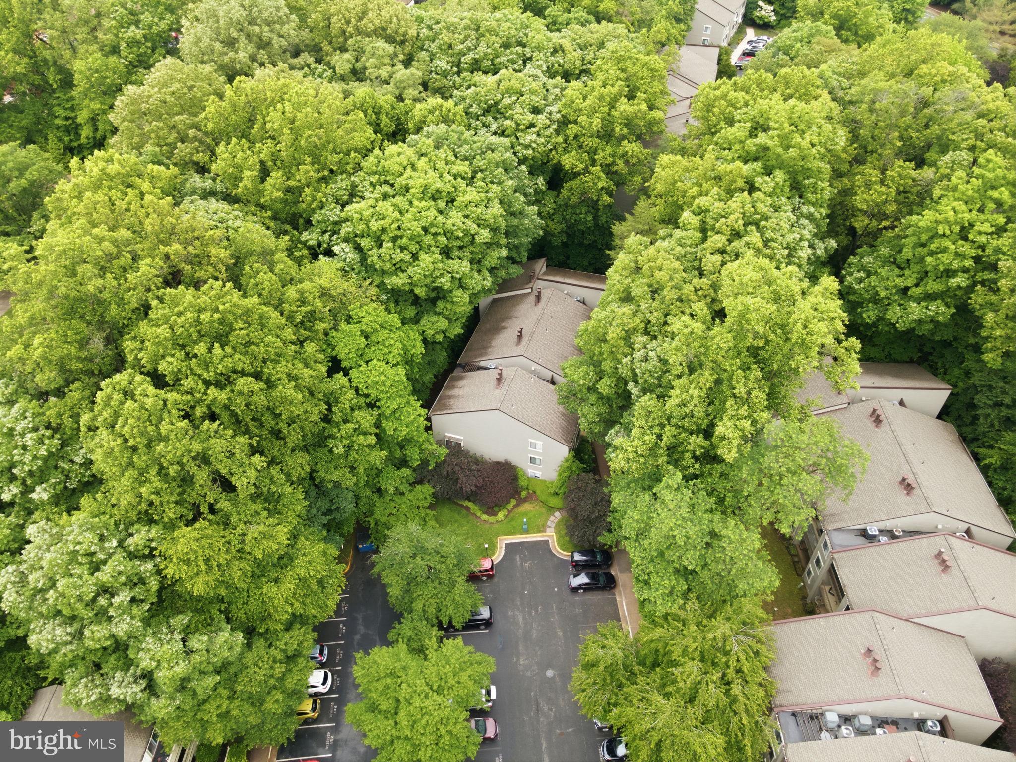 BRISTOL HOUSE - Residential