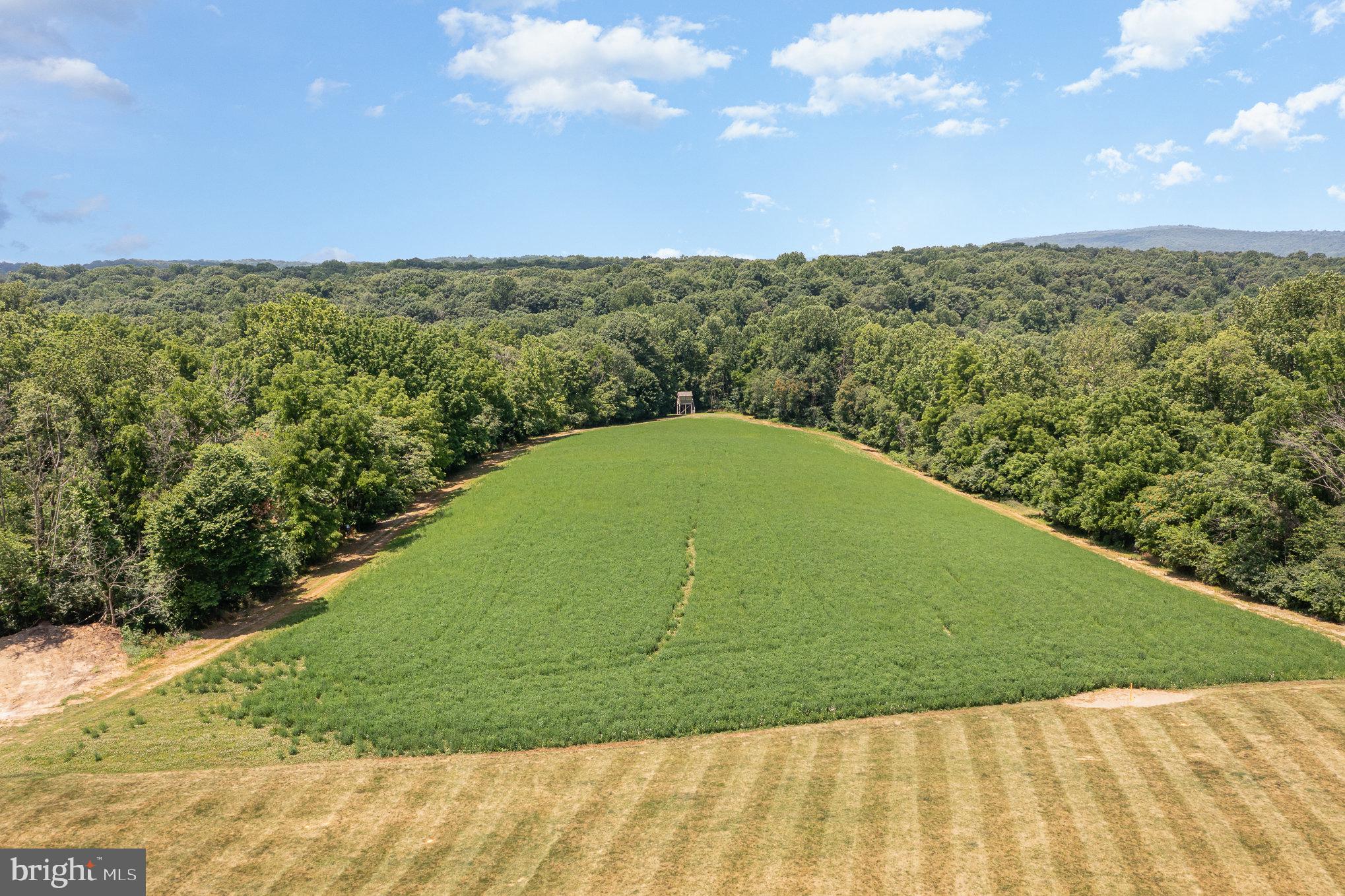 ELIZABETH TWP - Residential