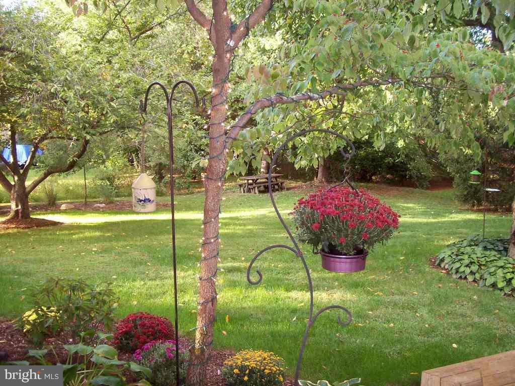 CHESTNUT VALLEY - Residential