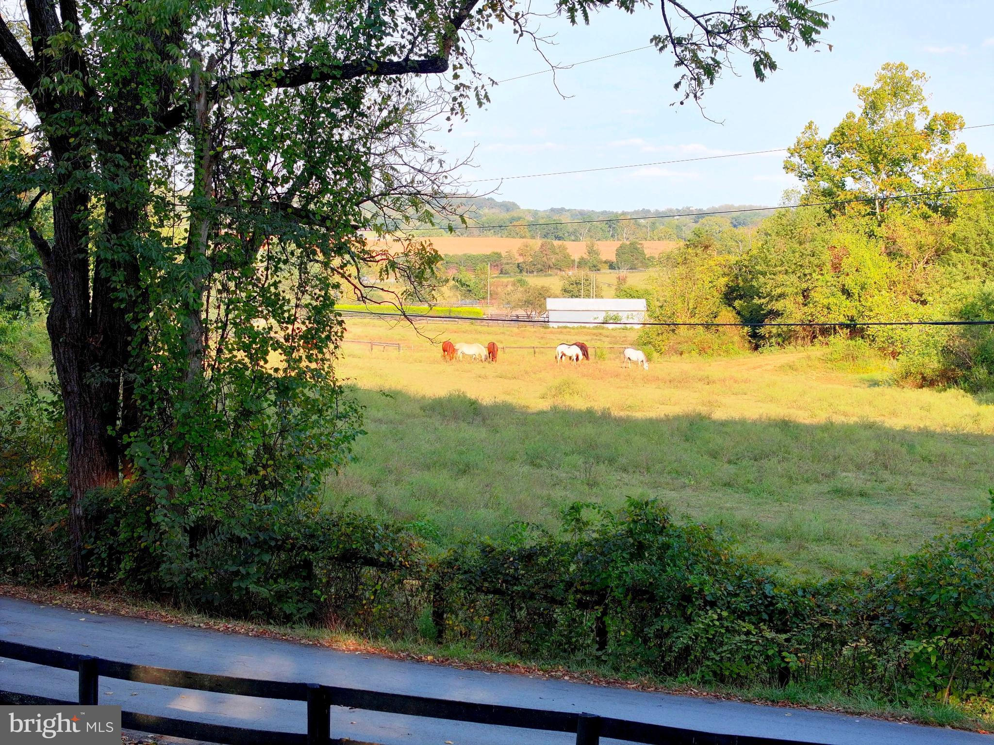 OATLANDS - Residential