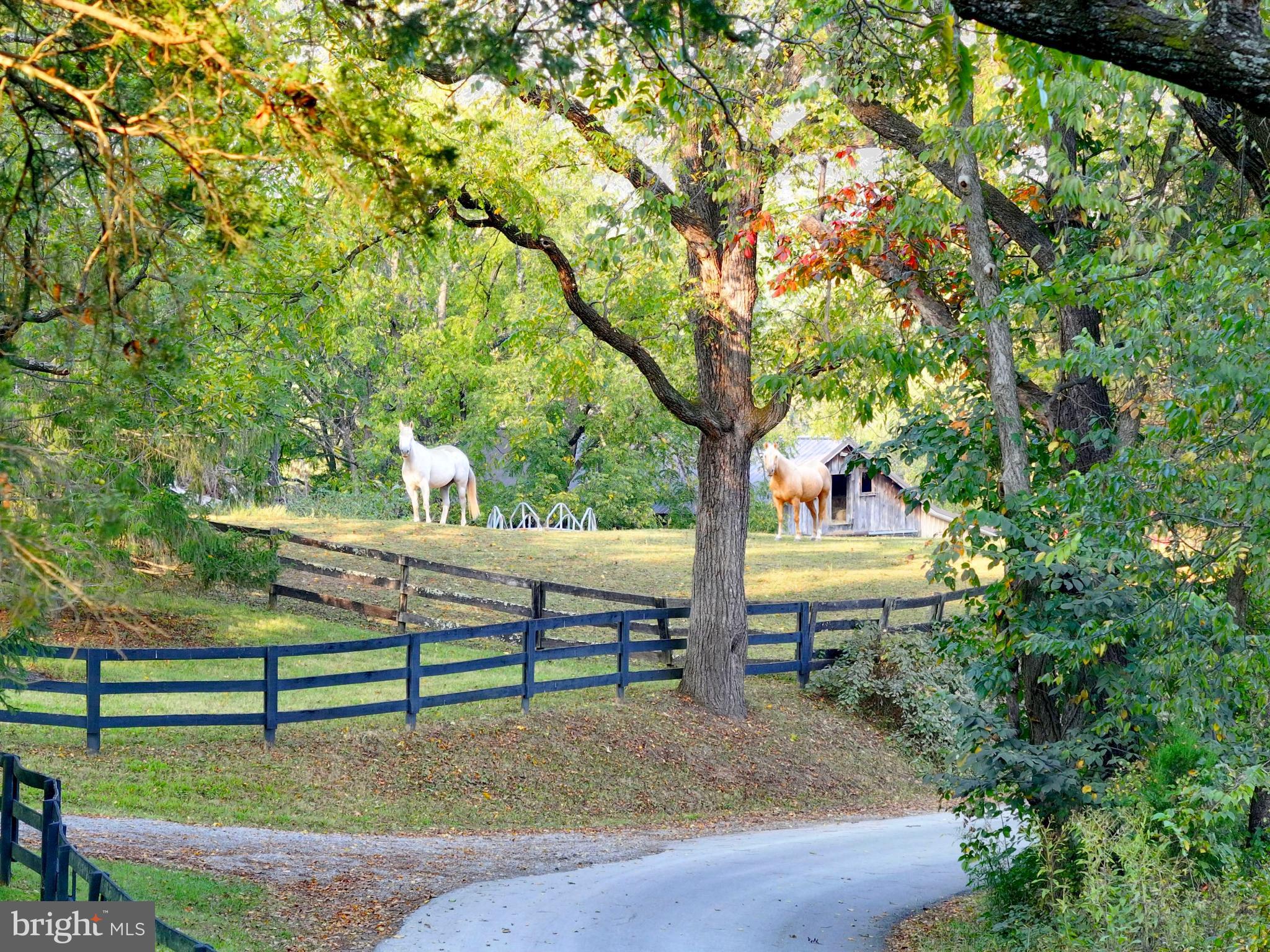 OATLANDS - Residential