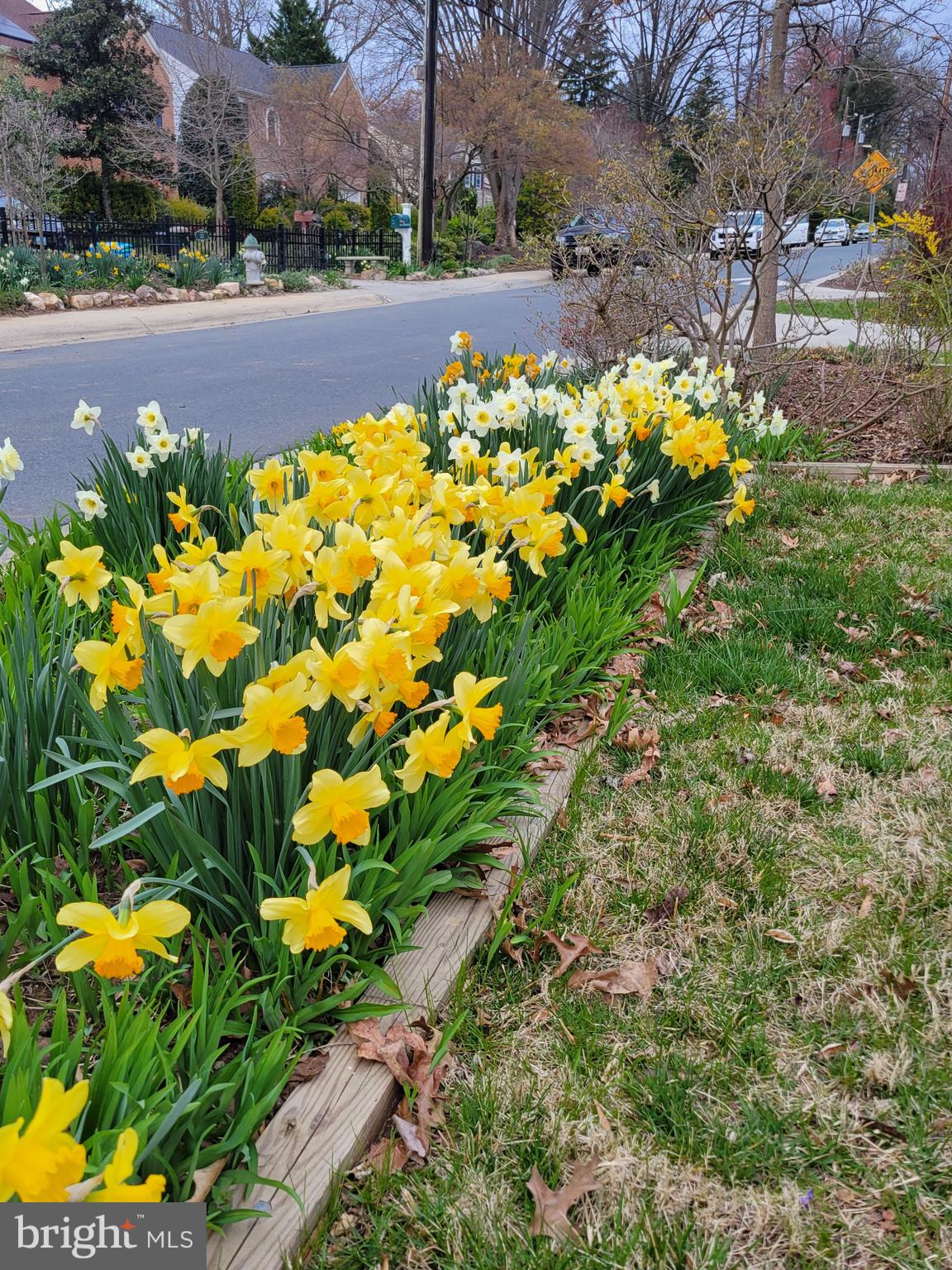 OAKMONT - Residential