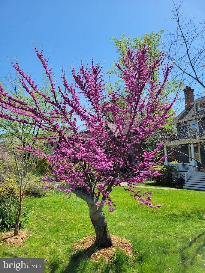 OAKMONT - Residential