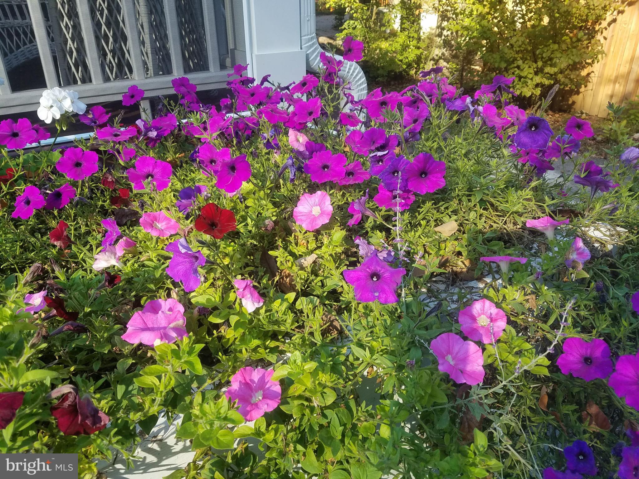 OAKMONT - Residential