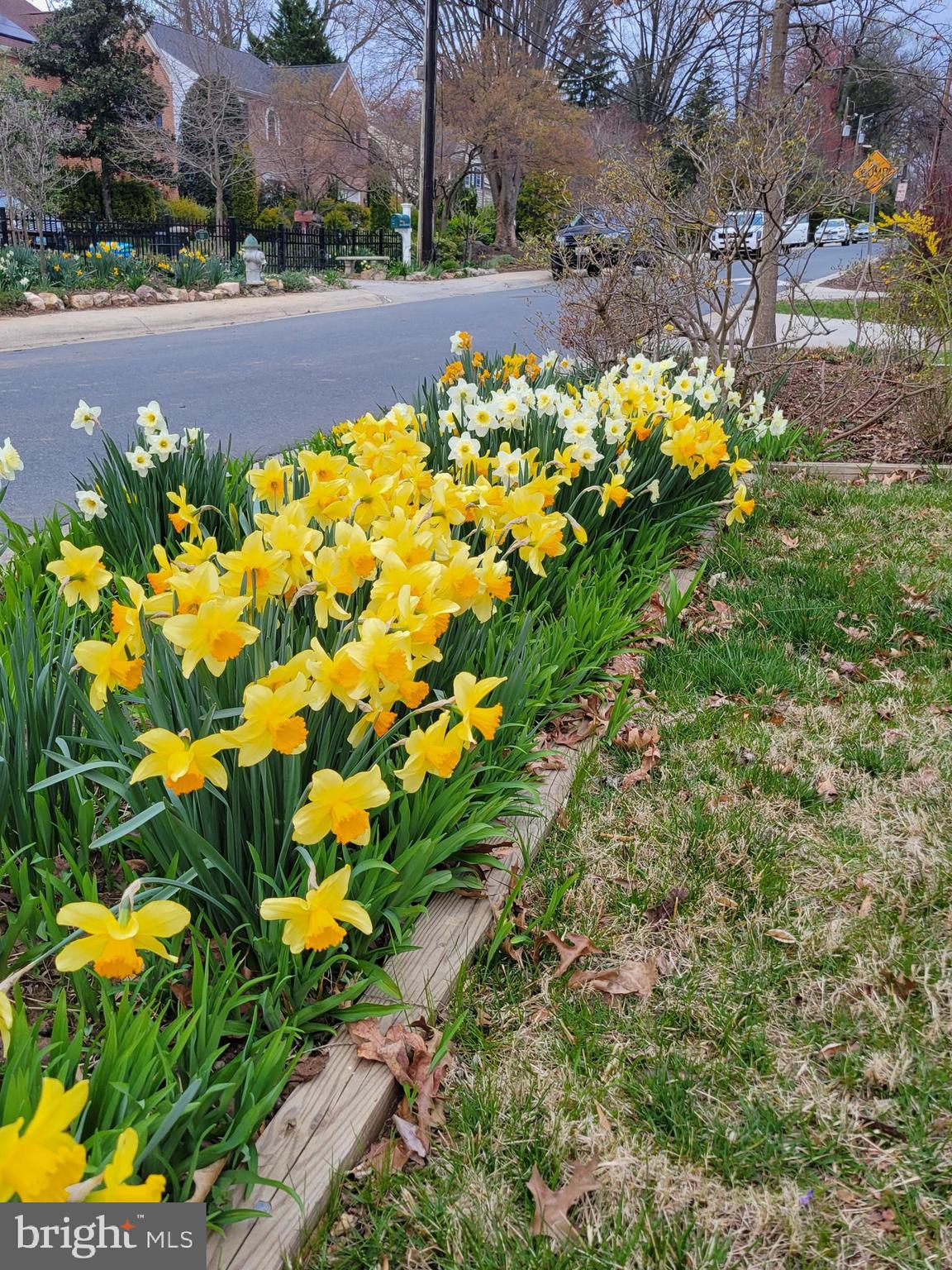 OAKMONT - Residential