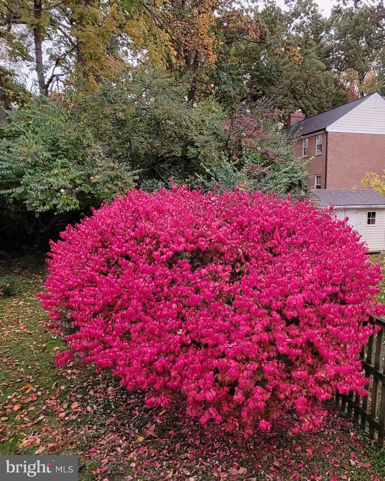 OAKMONT - Residential