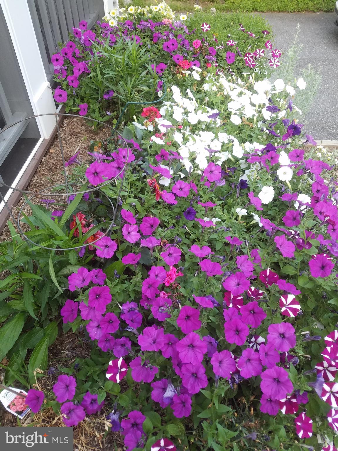 OAKMONT - Residential