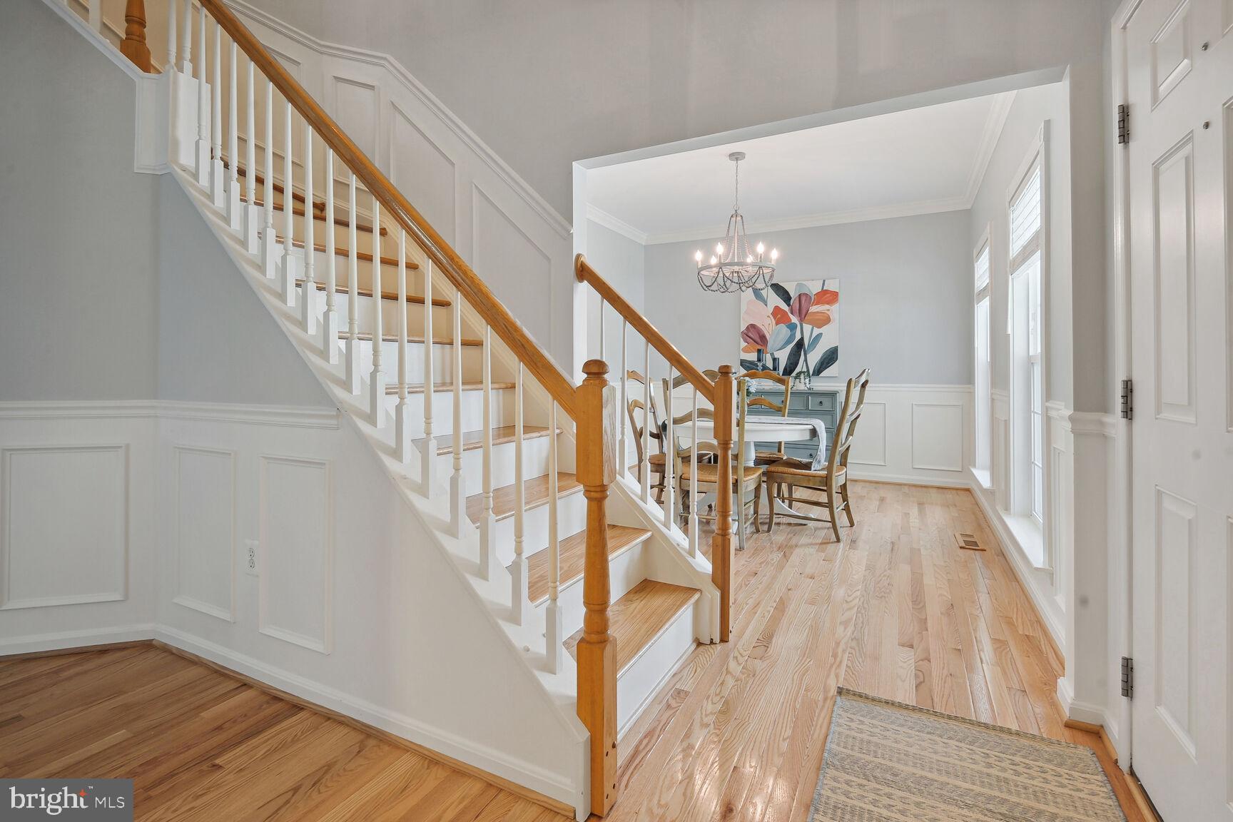 BELMONT FOREST - Residential