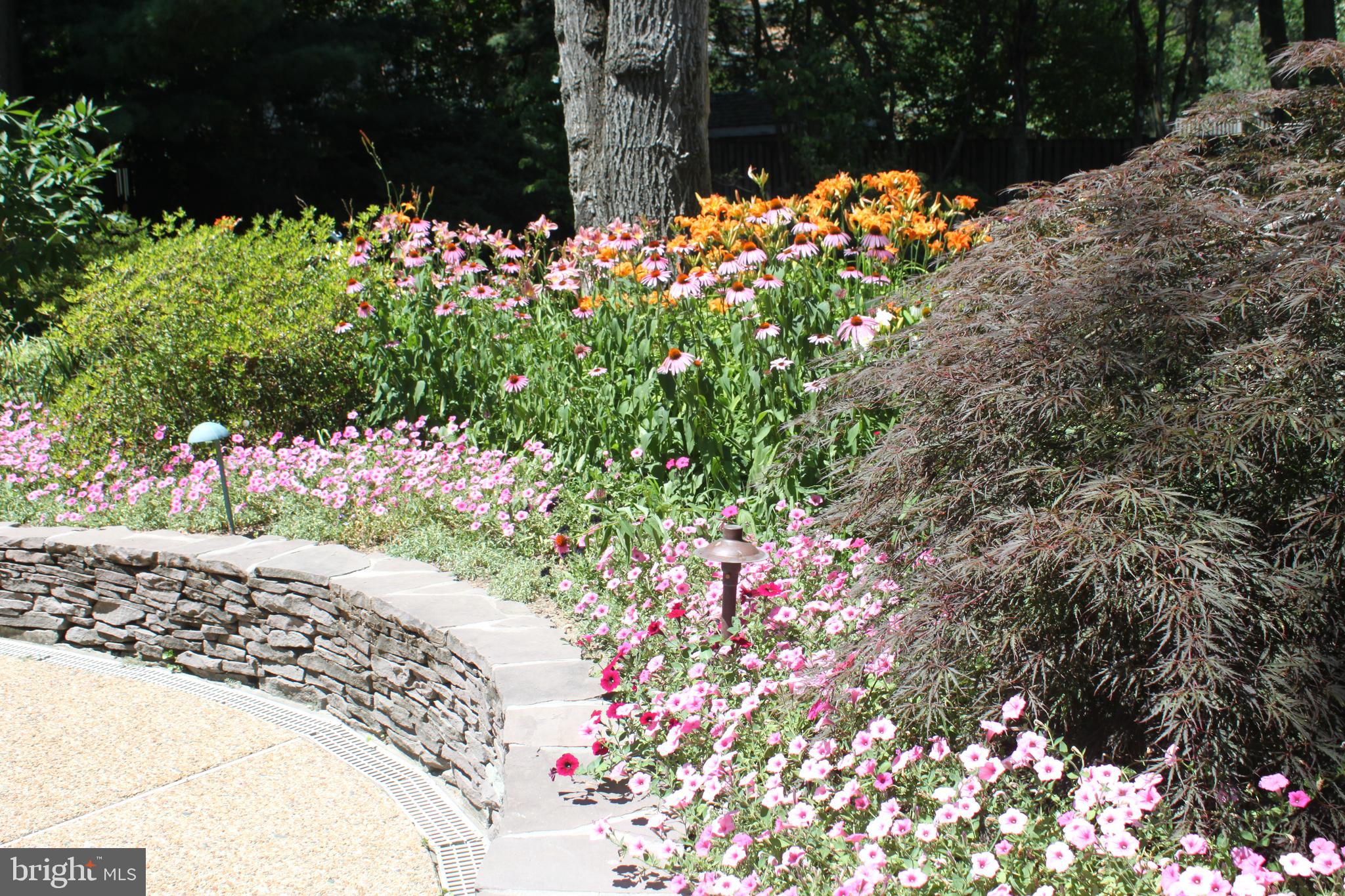 EVERMAY - Residential