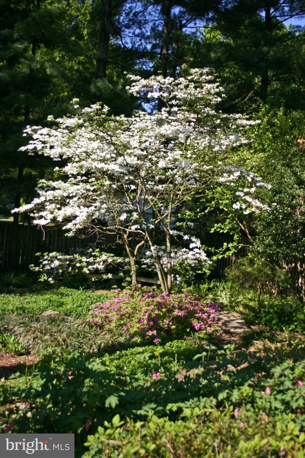 EVERMAY - Residential