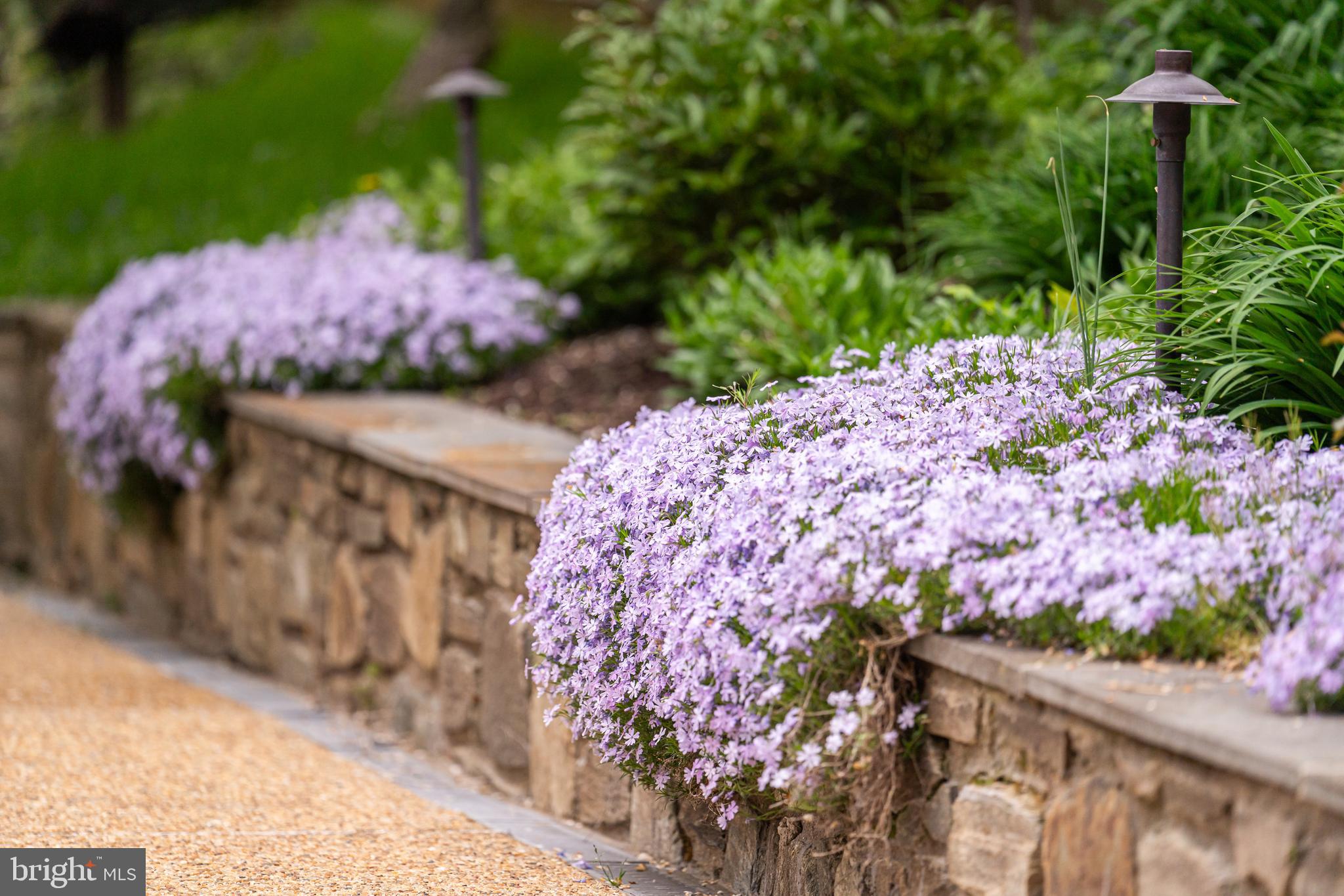 EVERMAY - Residential