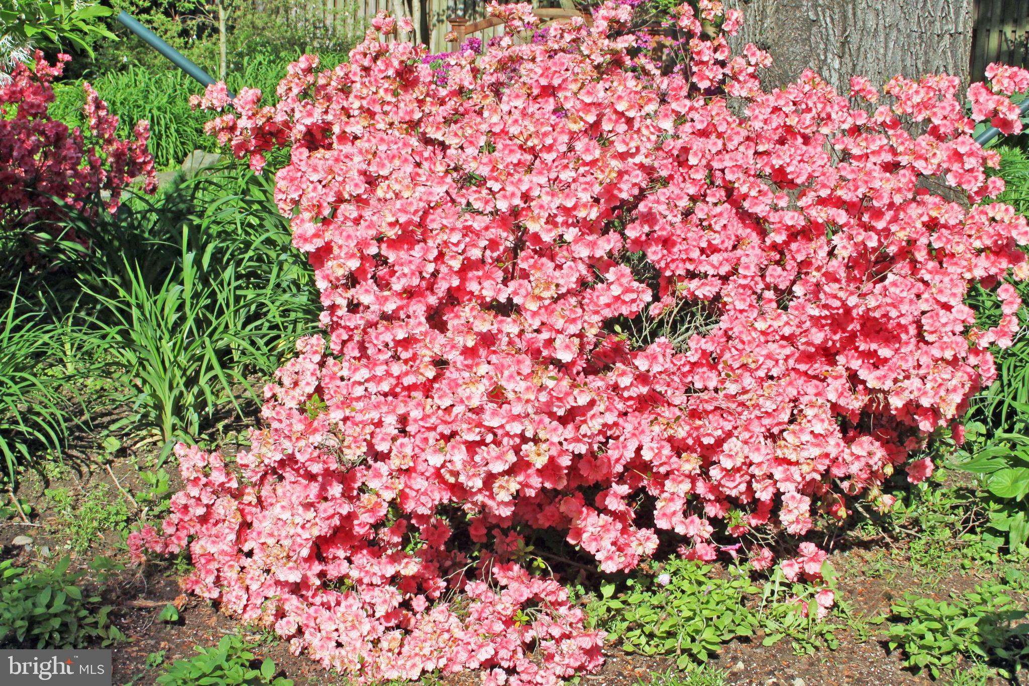 EVERMAY - Residential