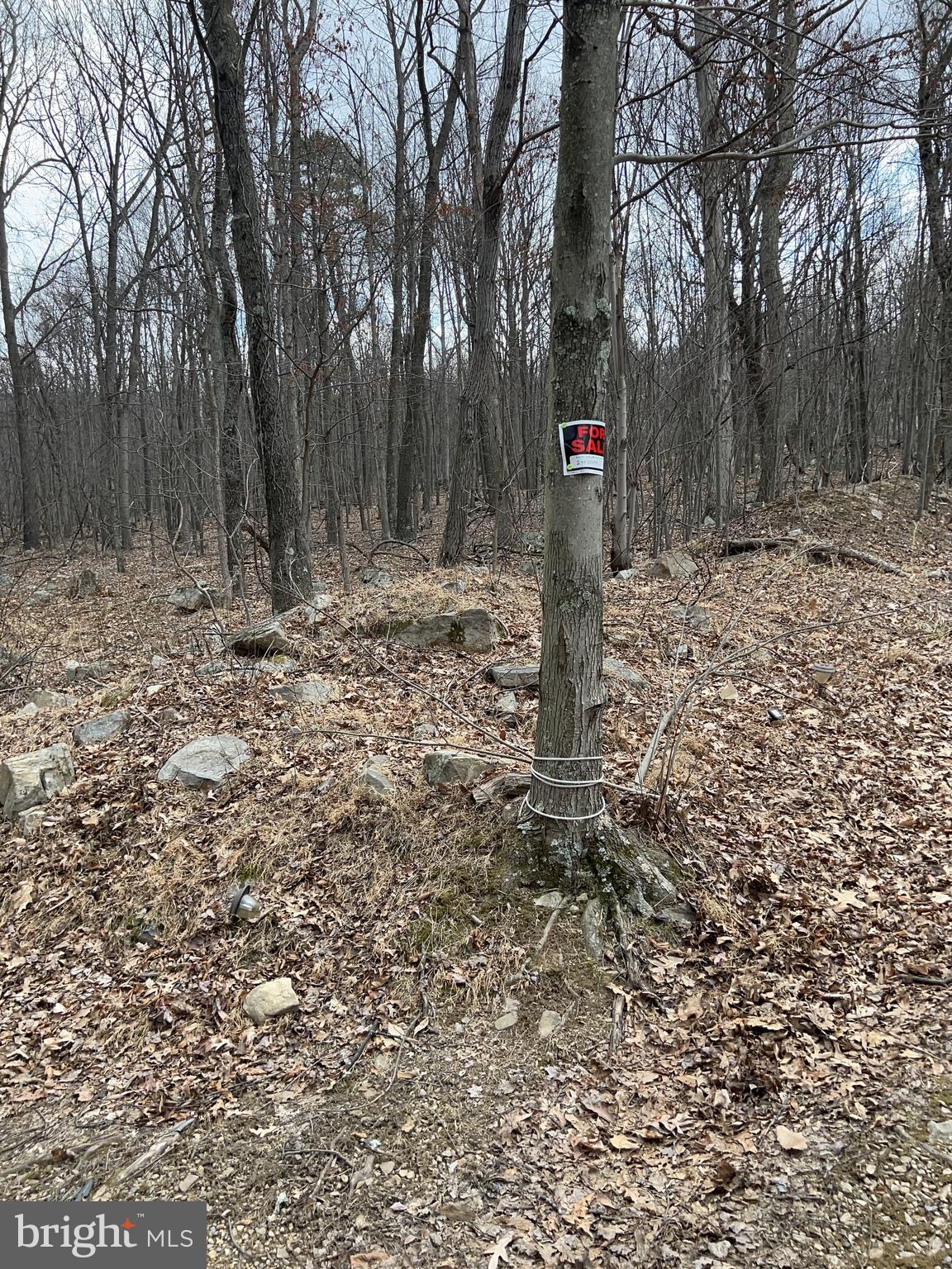 NATHANIEL MOUNTAIN HEIGHTS - Residential