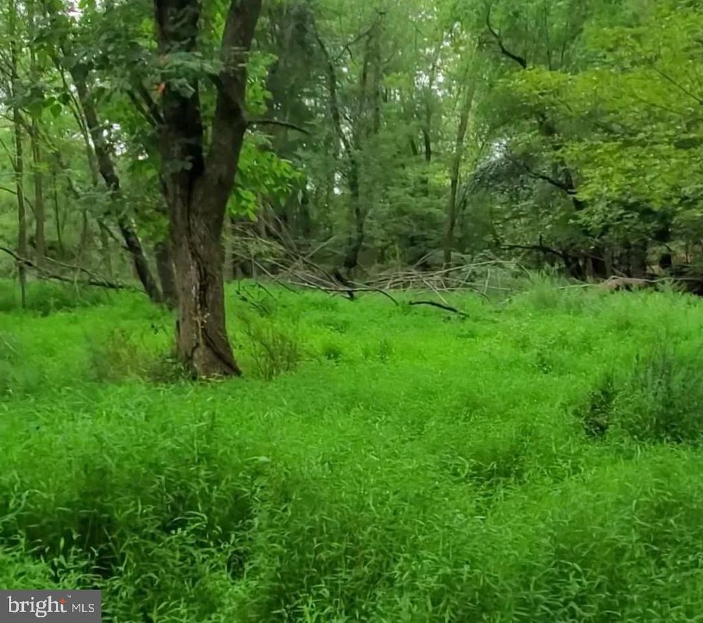 Photo of 00 Mountain Avenue, MATAMORAS, PA 18336 (MLS # PAPI2000806)