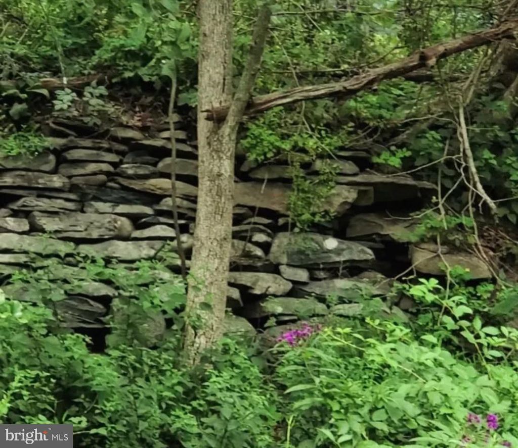 Photo of 00 Mountain Avenue, MATAMORAS, PA 18336 (MLS # PAPI2000806)