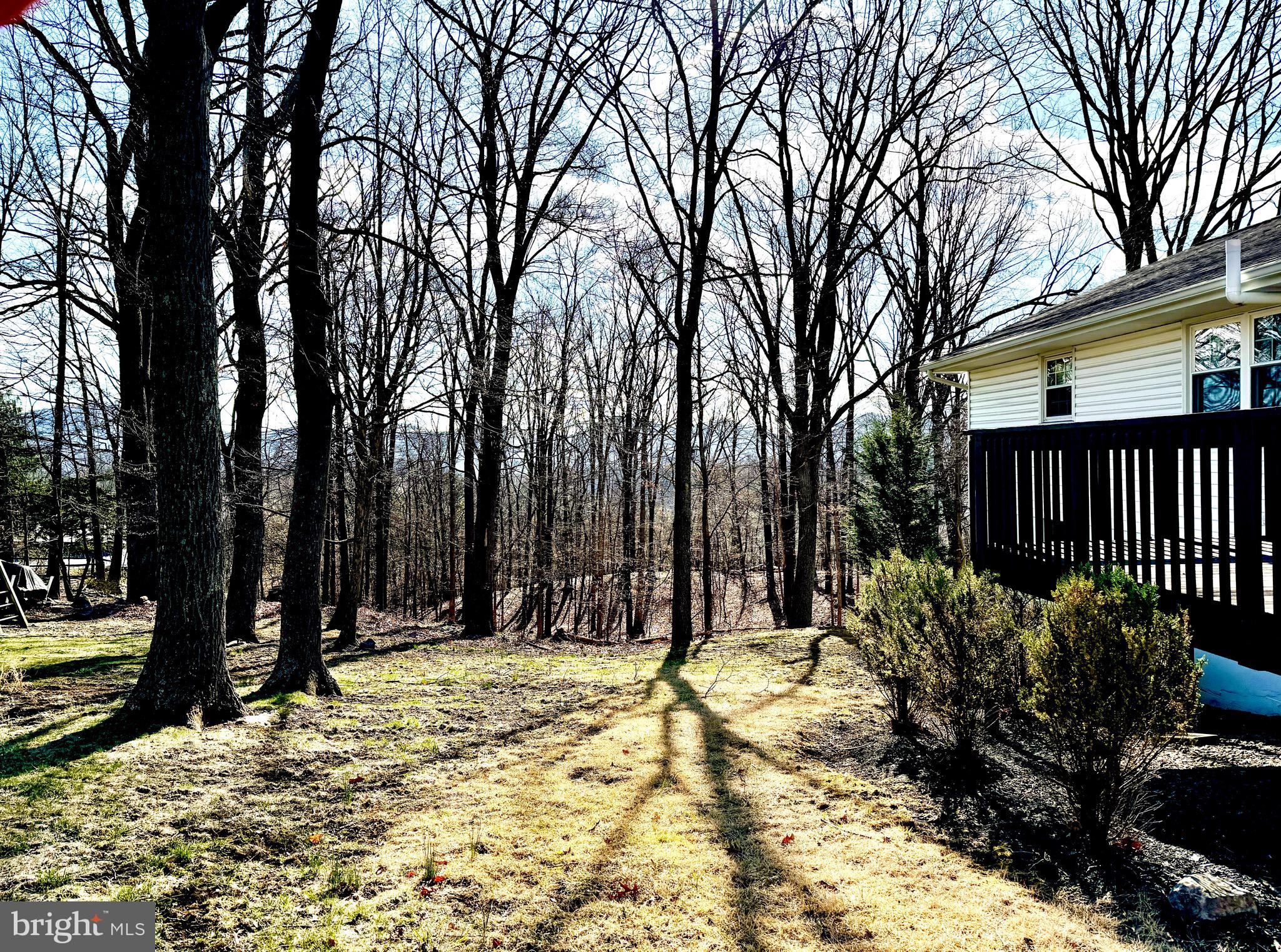 BEL AIR - Residential