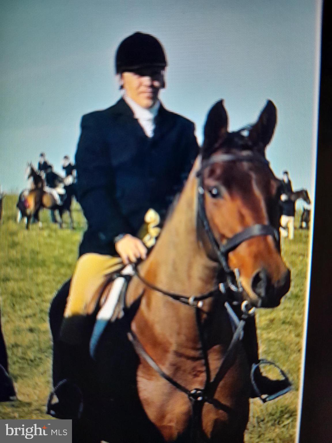 FOX RUN OF MIDDLEBURG - Residential