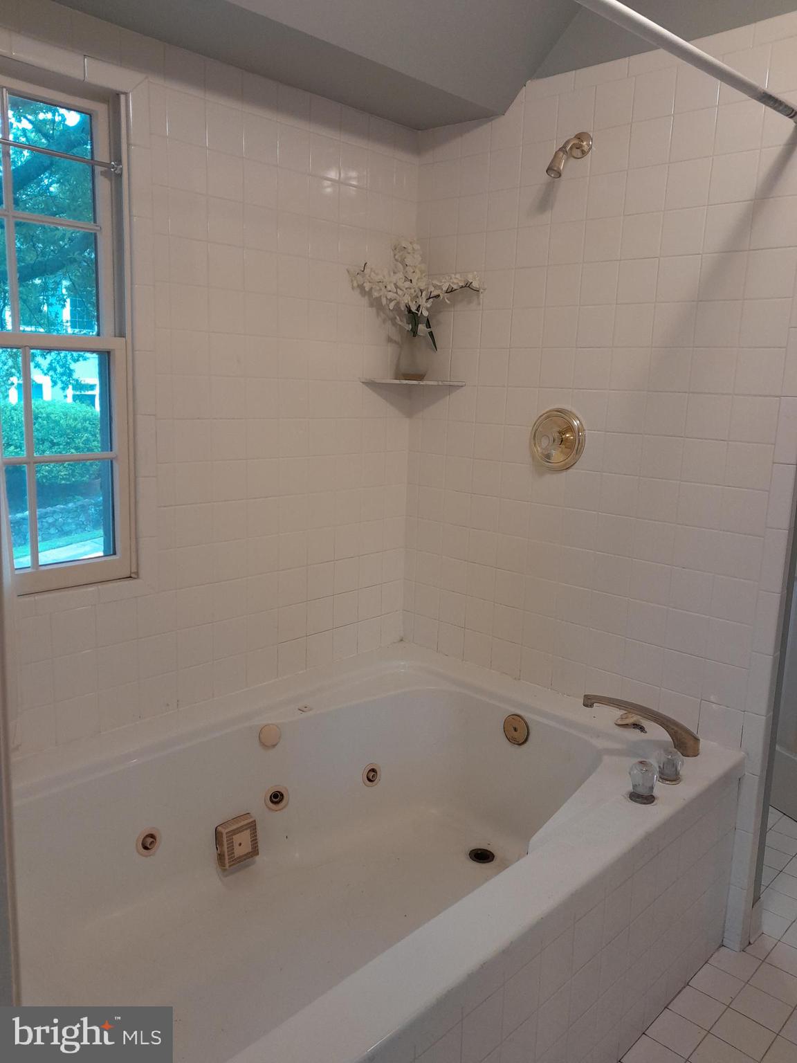 FOX RUN OF MIDDLEBURG - Residential