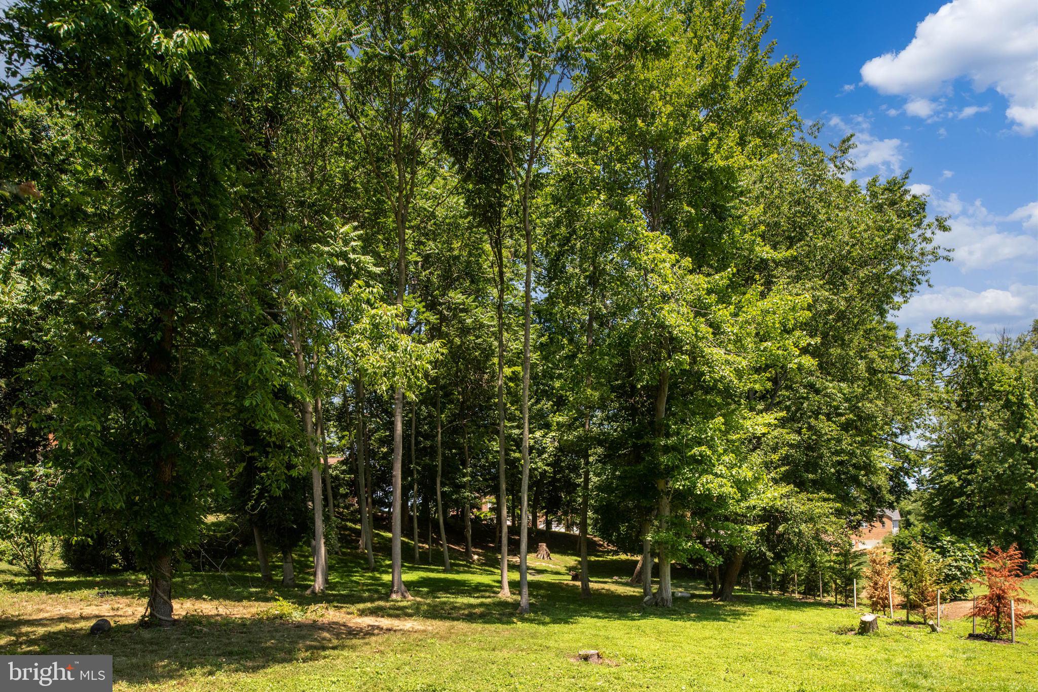 TANTALLON ON THE POTOMAC - Residential