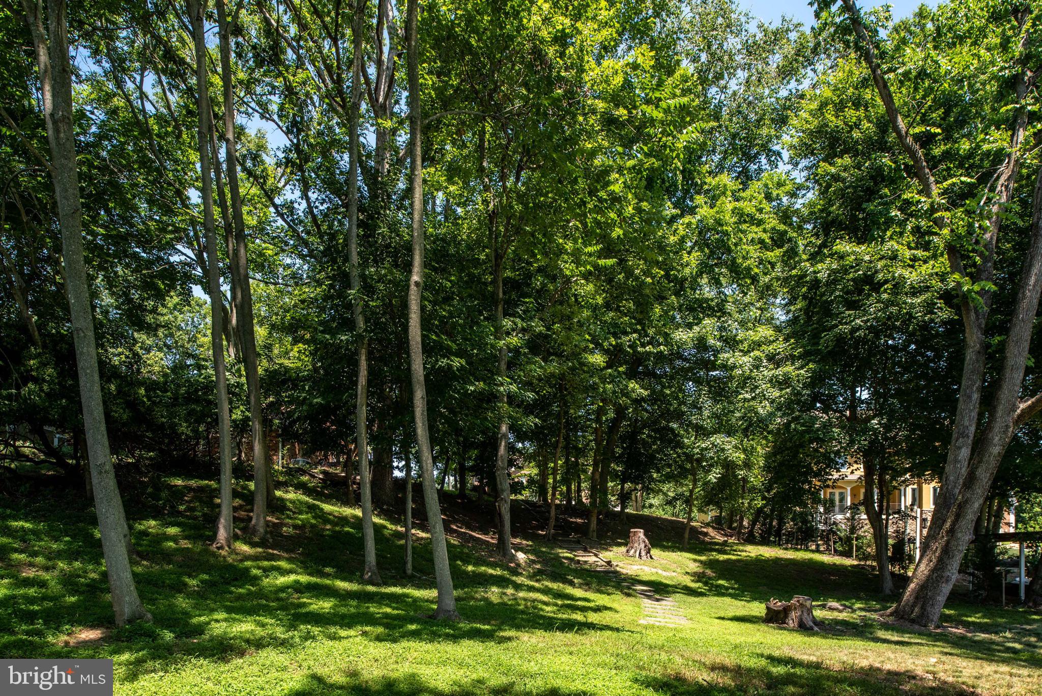 TANTALLON ON THE POTOMAC - Residential