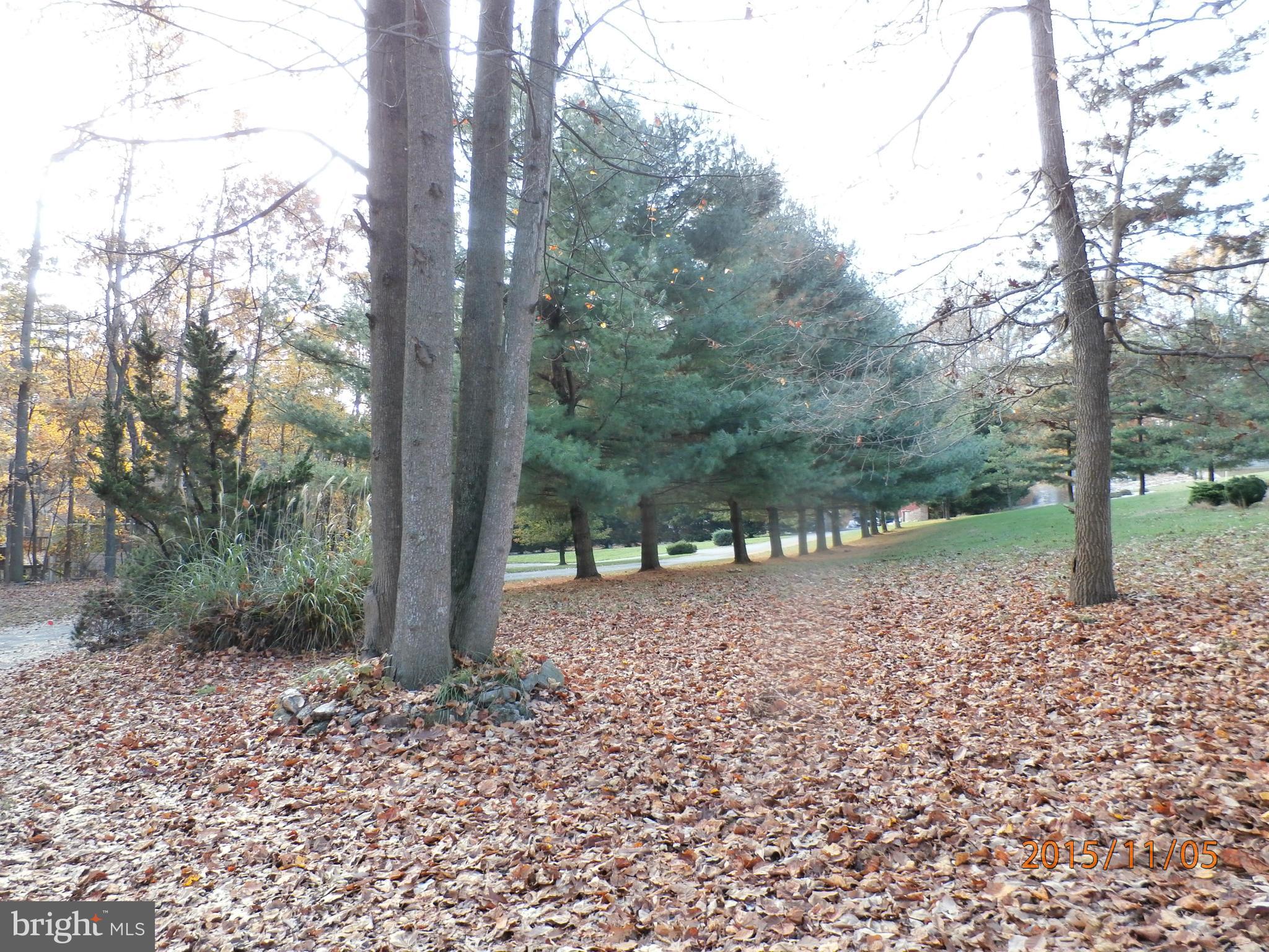 TRAVANCORE WOODS - Residential