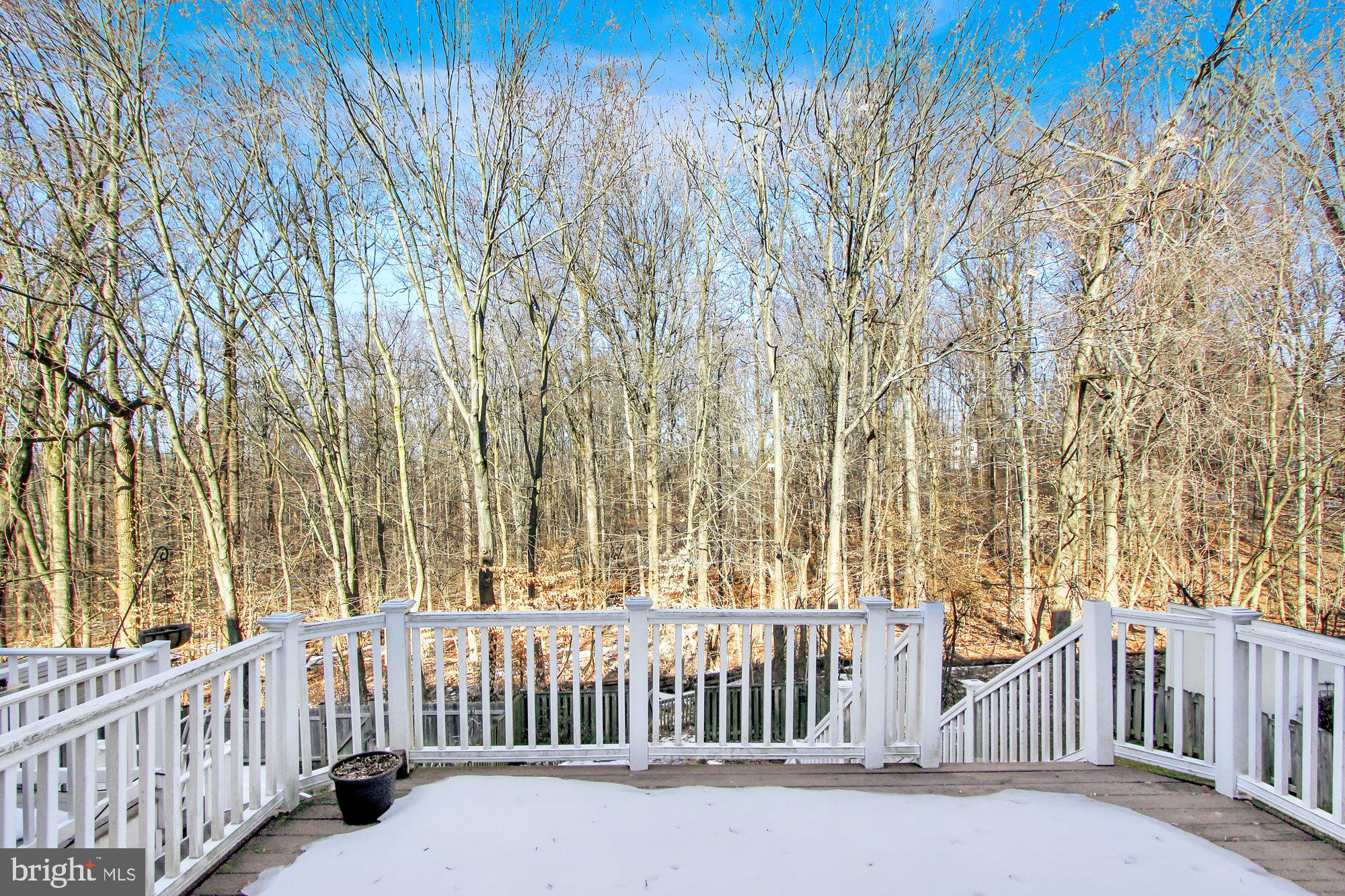 VILLAGE OF THOMAS RUN - Residential