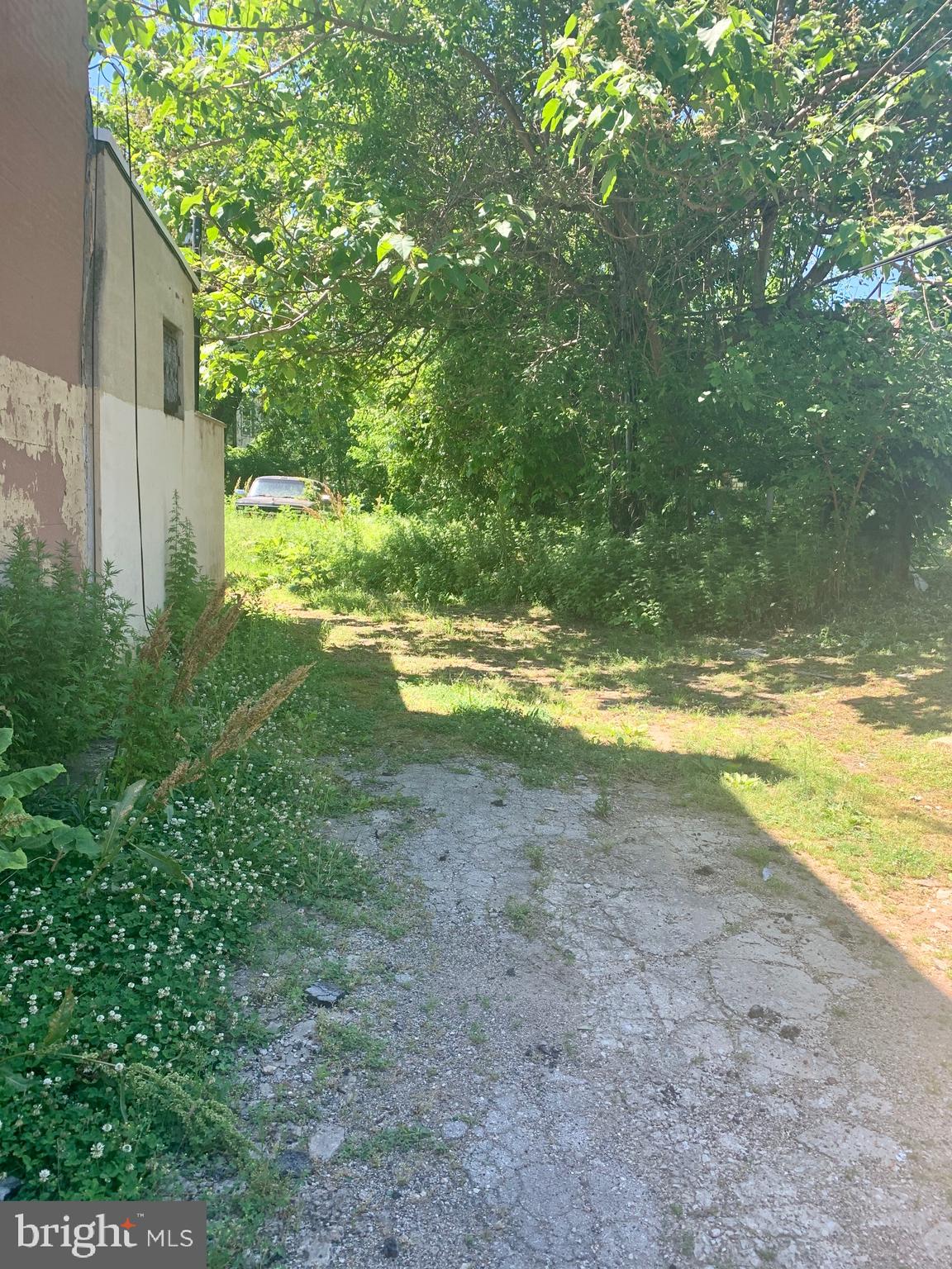 STRAWBERRY MANSION - Land