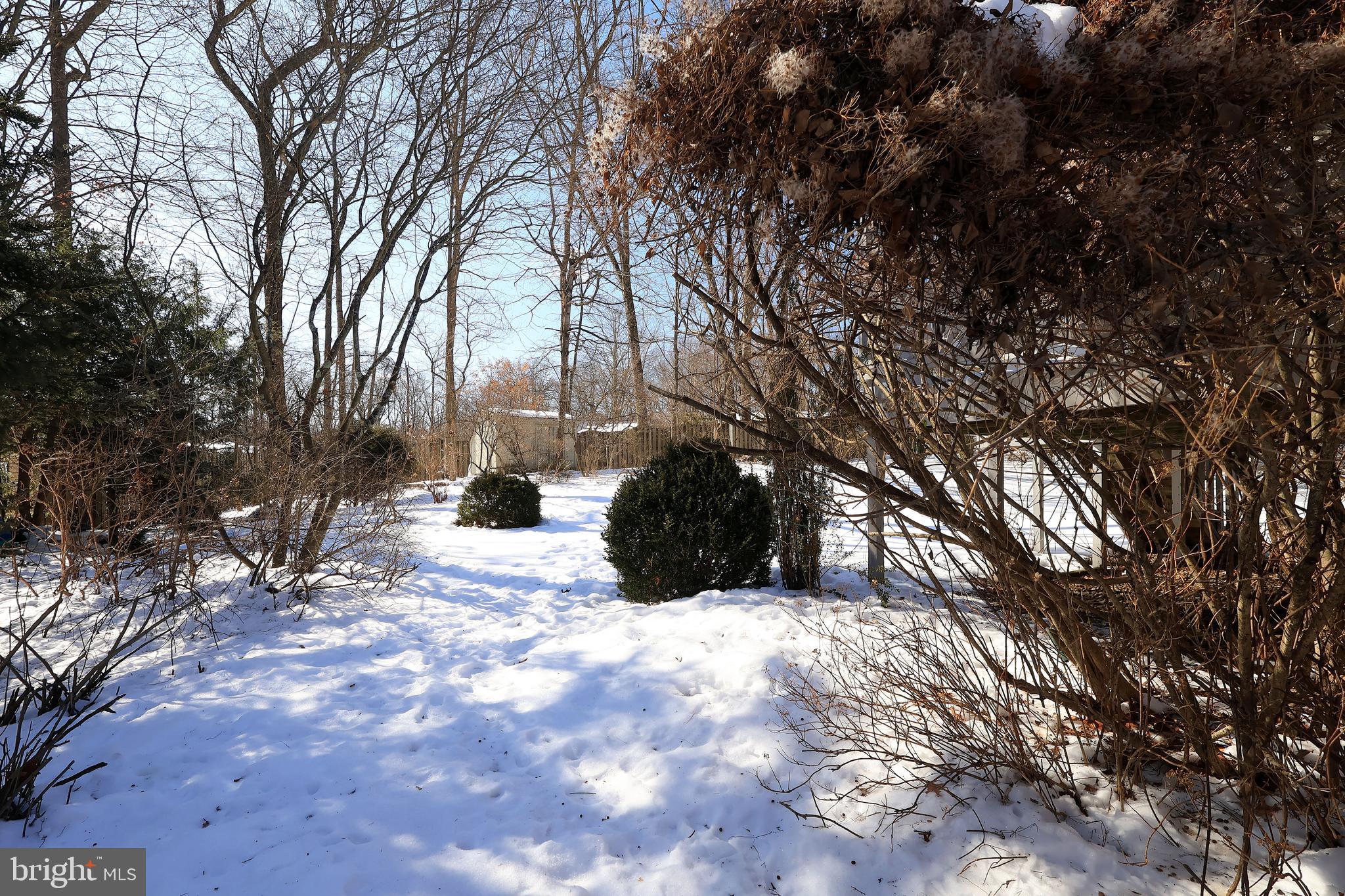 PARK FOREST VILLAGE - Residential