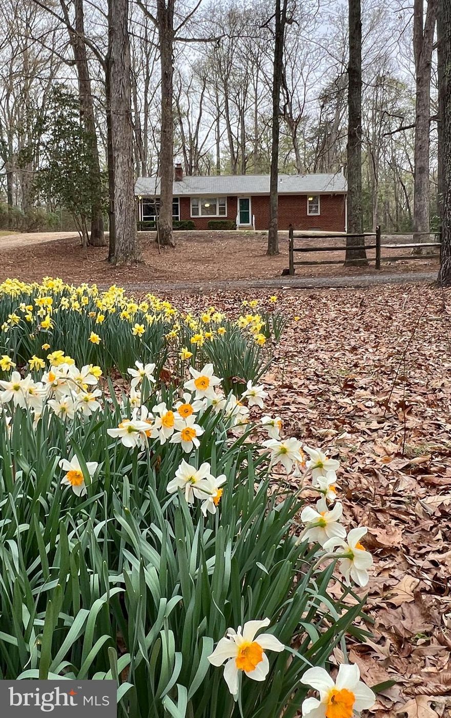 2 Bedroom/ 1 Full Bath Renovated Rambler Nestled in the Middle of 13 Acres +/- of Hardwood Forest Under Forest Management Plan & Wildlife Habitat.  Charming & Cozy Rambler with Two (2) Working Fireplaces with Wood Stove Inserts, Hardwood Floors Throughout, Fresh Paint & New Appliances. Living Room is Provided Natural Light from the Large Picture Window.  Screened-In Porch, Horseshoe Pit & Shaded Yard Provide for Perfect Space for Entertaining or Winding Down. Unfinished Basement w/ New Washer & Dryer. Detached Concrete Block 2-Car Carport or Storage Building. Grass Cutting Included in Rent. Tenant Responsible for Utilities. Pets Considered on Case-By-Case Basis: $50.00 per Month per Pet.