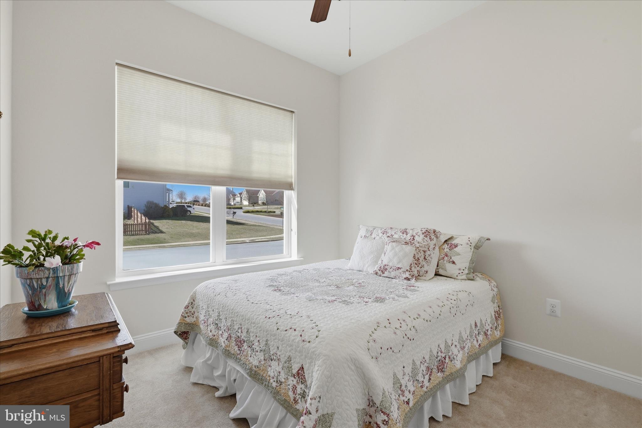 NORBORNE GLEBE - Residential