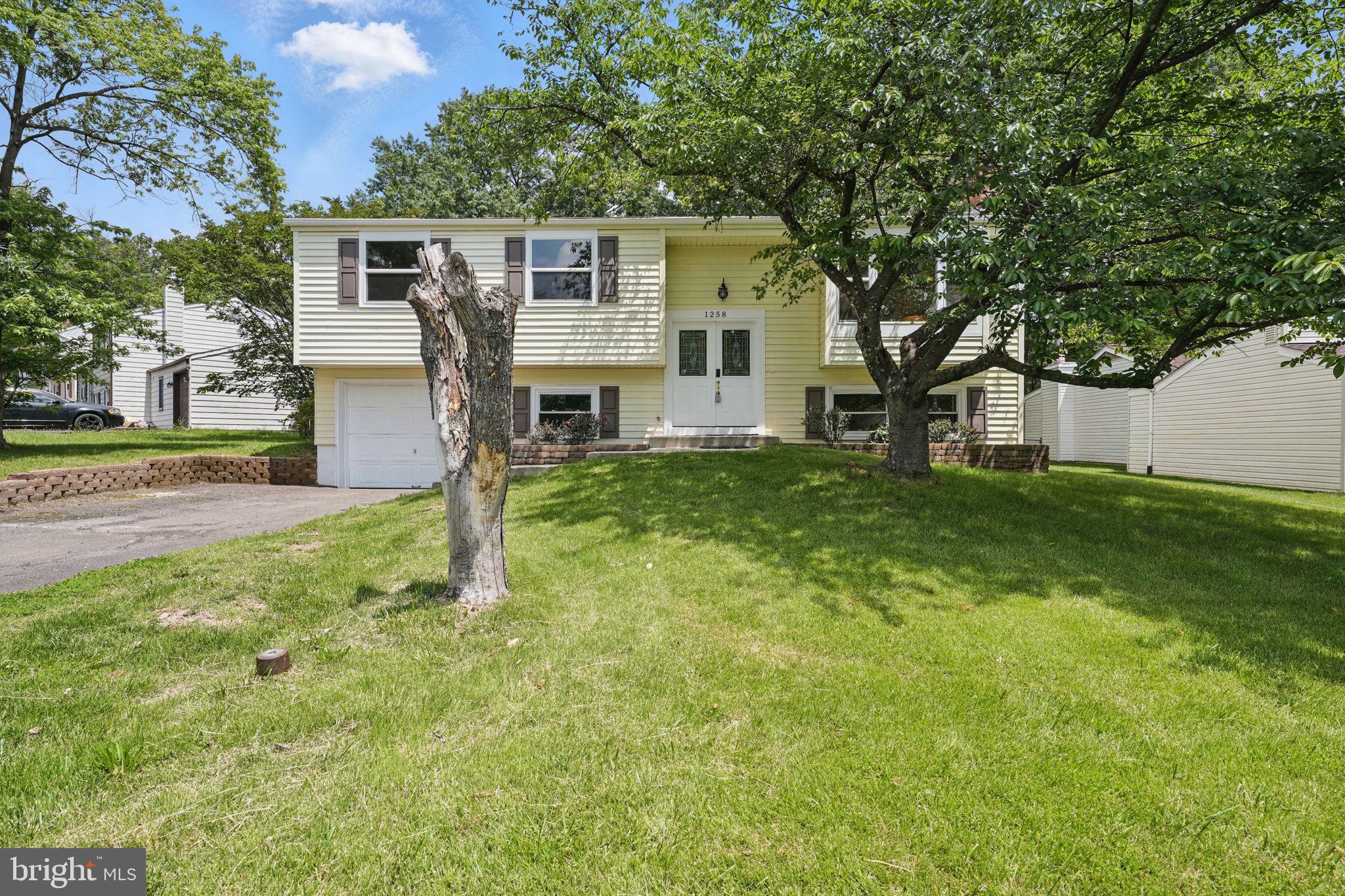 1258 MAGNOLIA