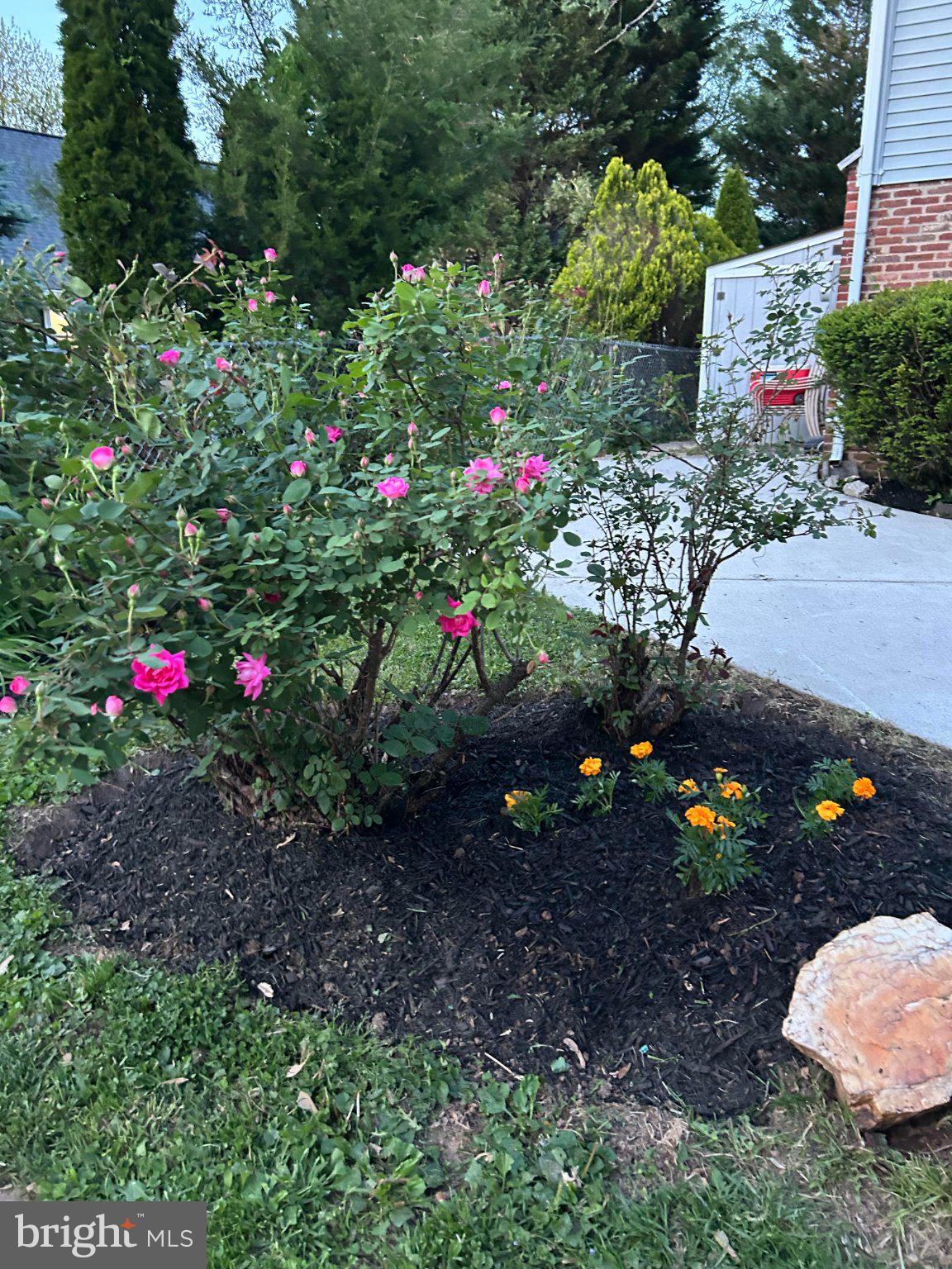 FORESTVALE - Residential