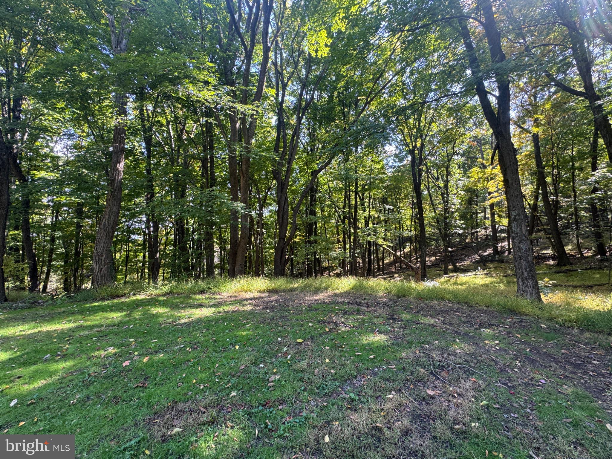 4593 OLD MARTINSBURG GRADE ROAD