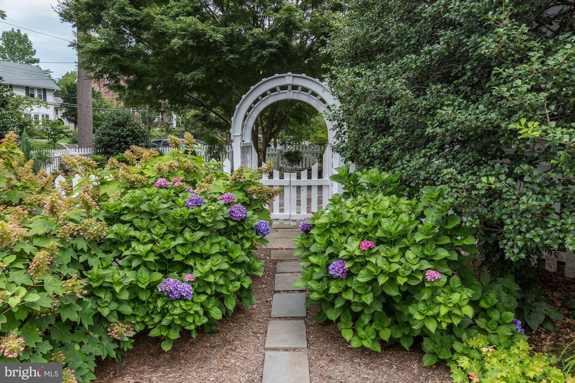 CHEVY CHASE - Residential