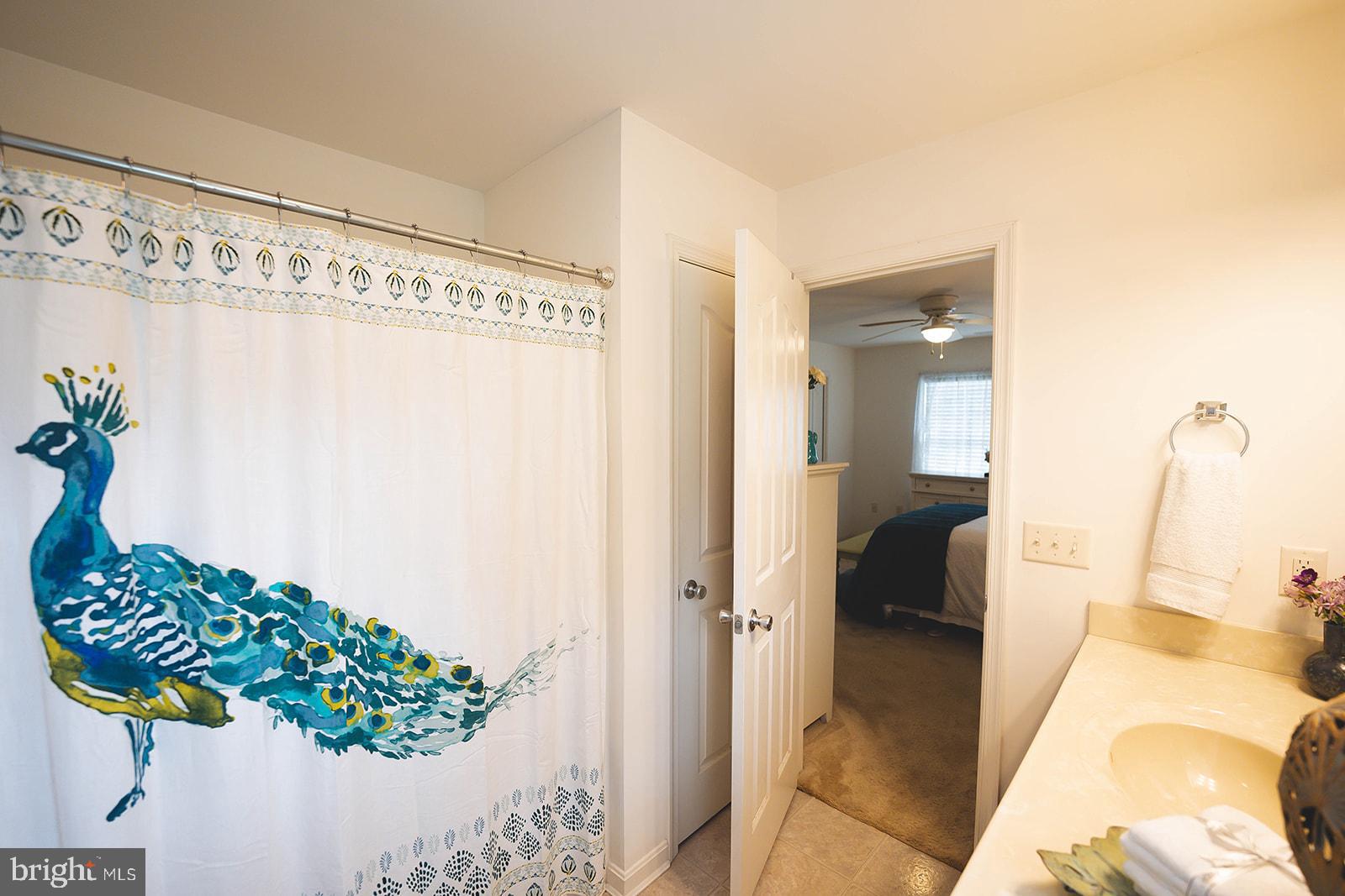 SASSAFRAS MEADOWS - Residential