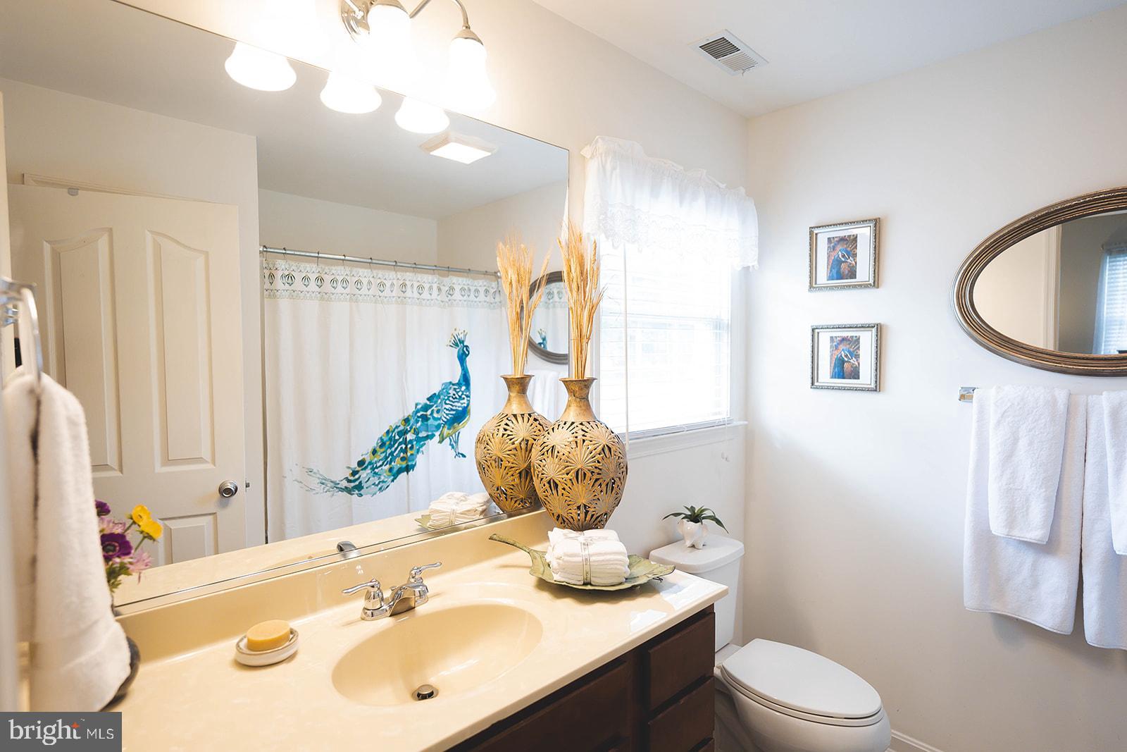 SASSAFRAS MEADOWS - Residential