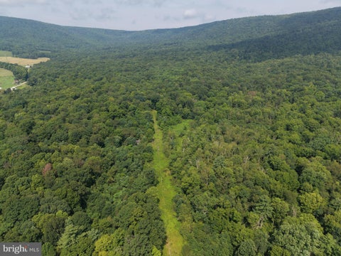 Vacant Land For Sale - 107+/- ACRES Schenck Rd<br/> Fulton County, WELLS TANNERY, PA 16691