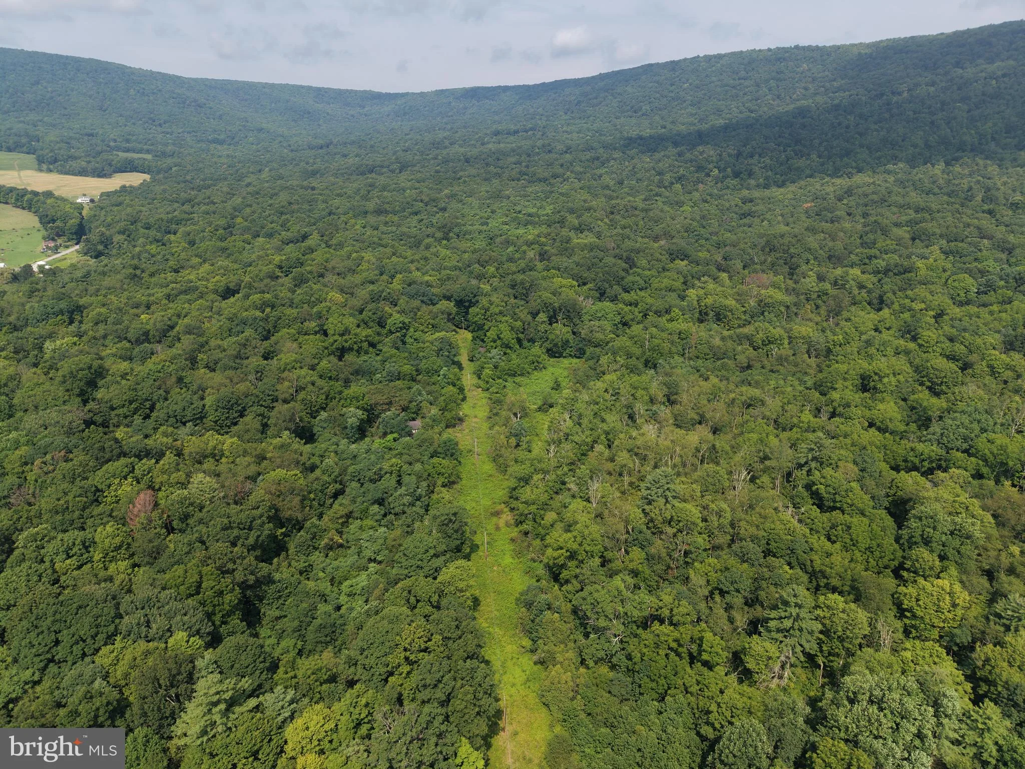 107+/- ACRES Schenck Rd, Wells Tannery, PA, 16691