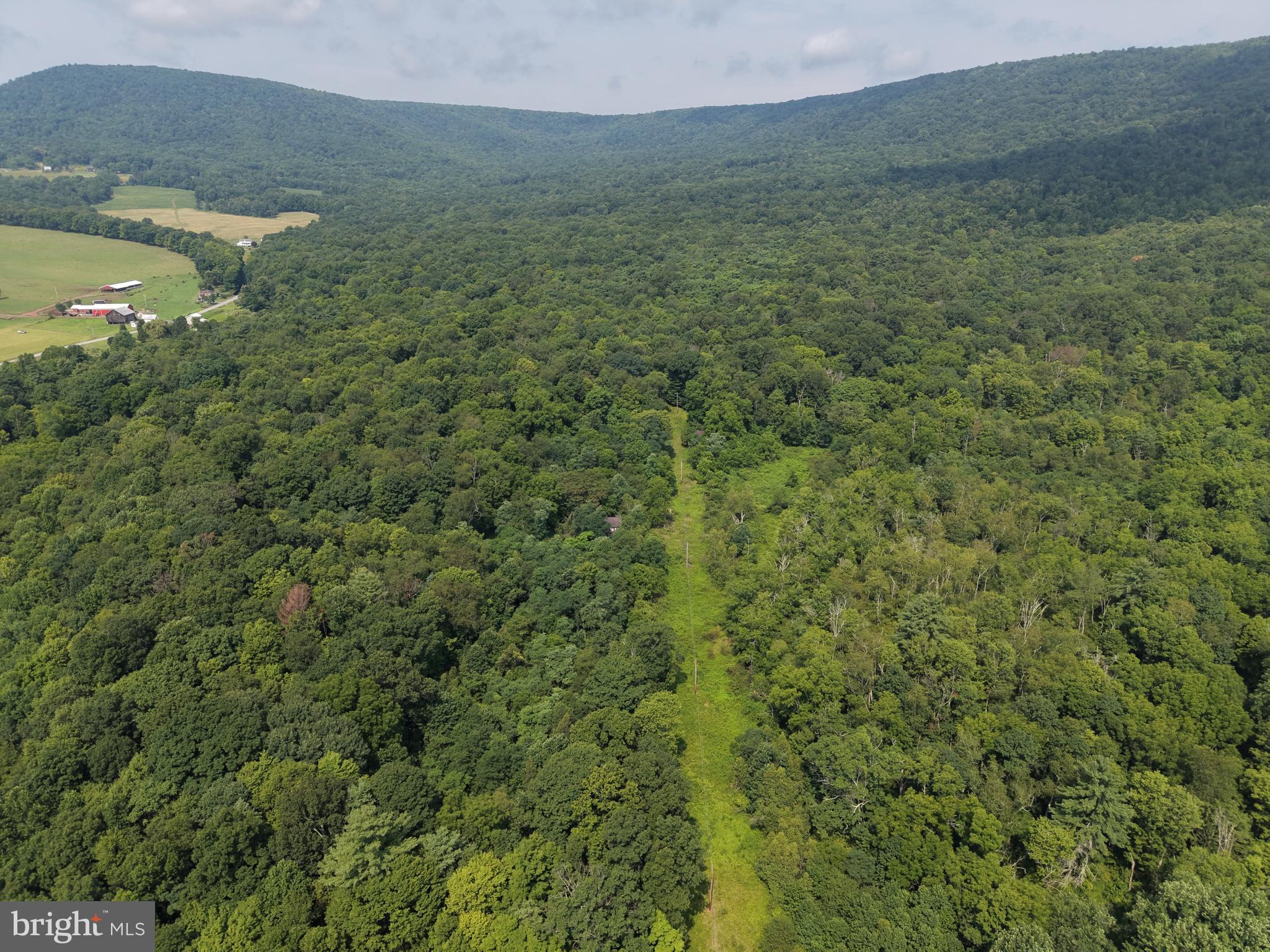 107+/- ACRES SCHENCK RD