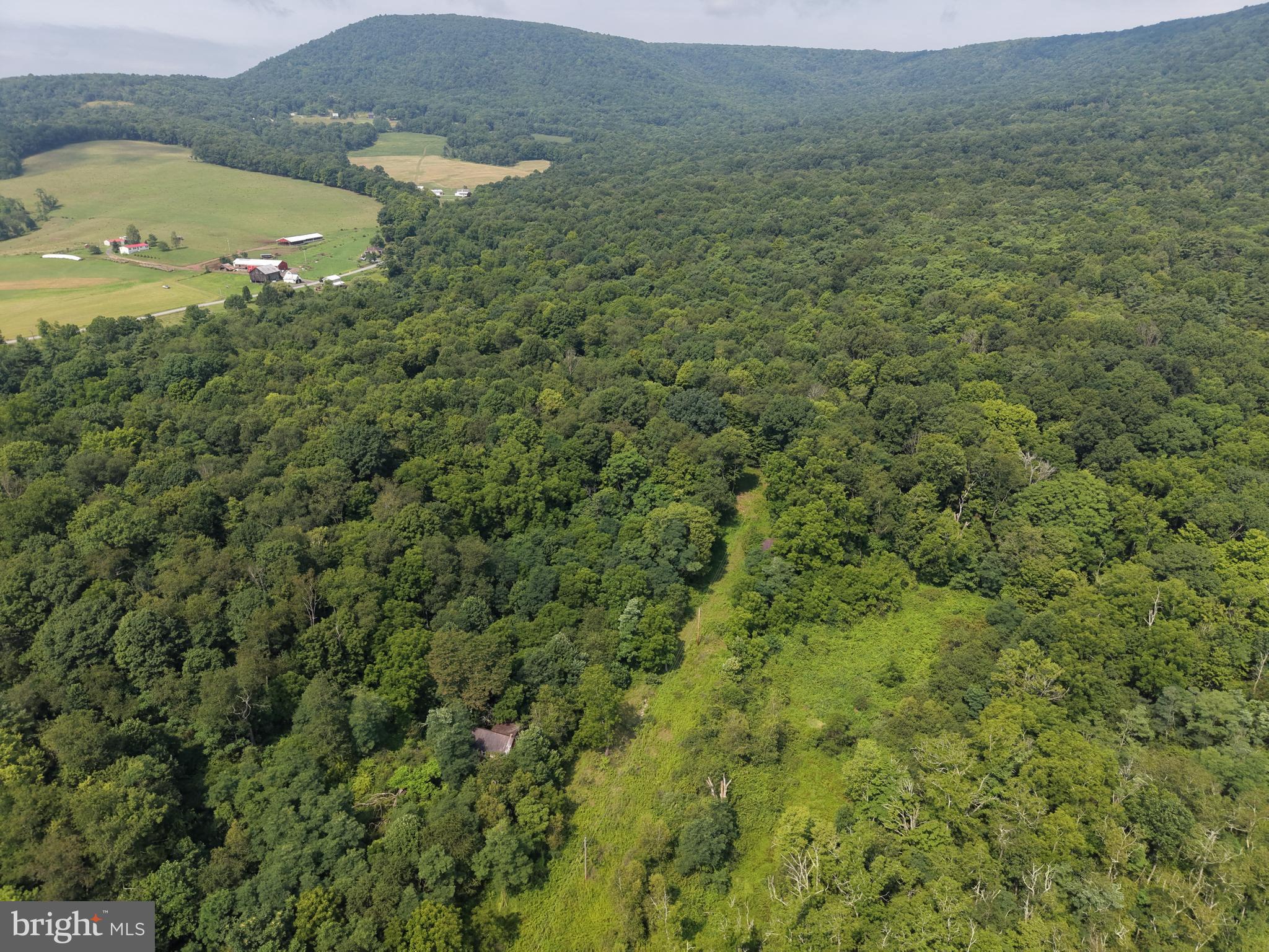 107+/- ACRES SCHENCK RD