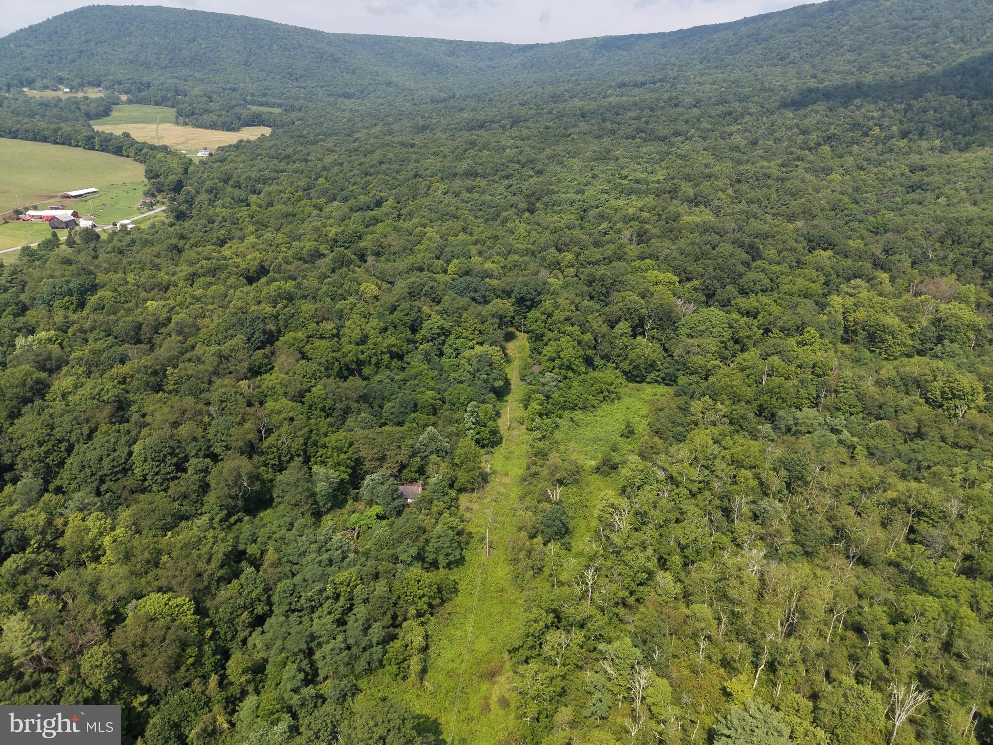 107+/- ACRES SCHENCK RD