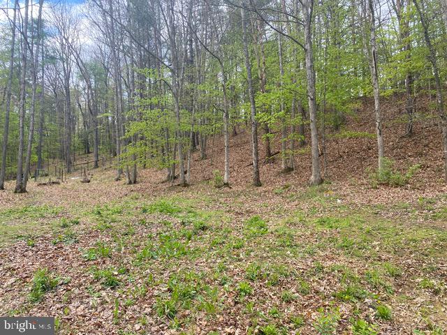 STONY RUN - Residential