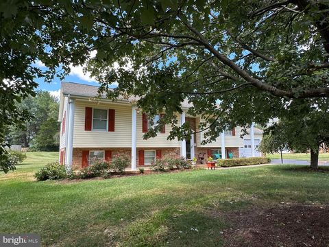 3 MEADOW LANE LURAY VA 22835