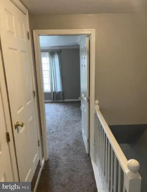 DUNDALK - Residential Lease