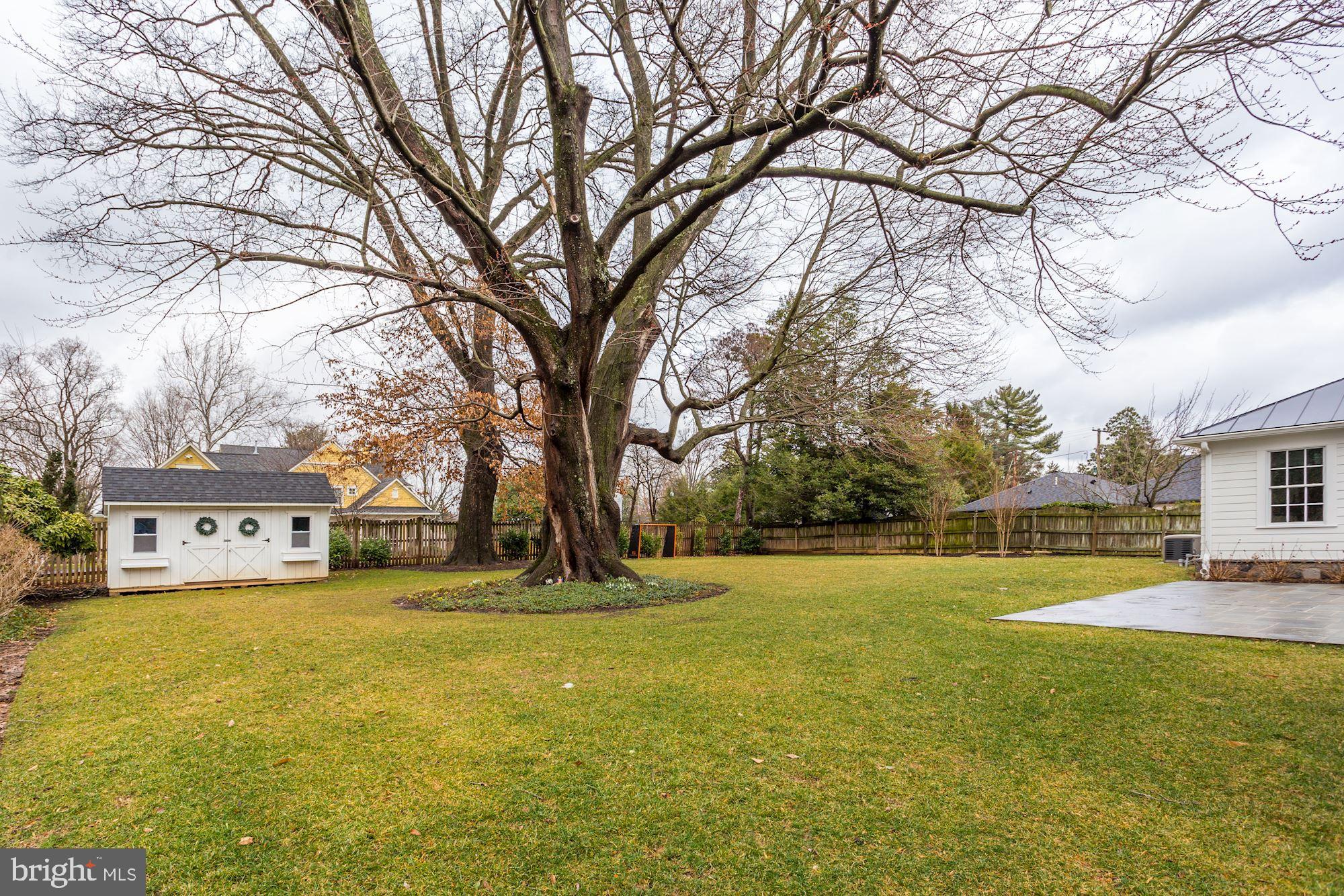 CHEVY CHASE VIEW - Residential