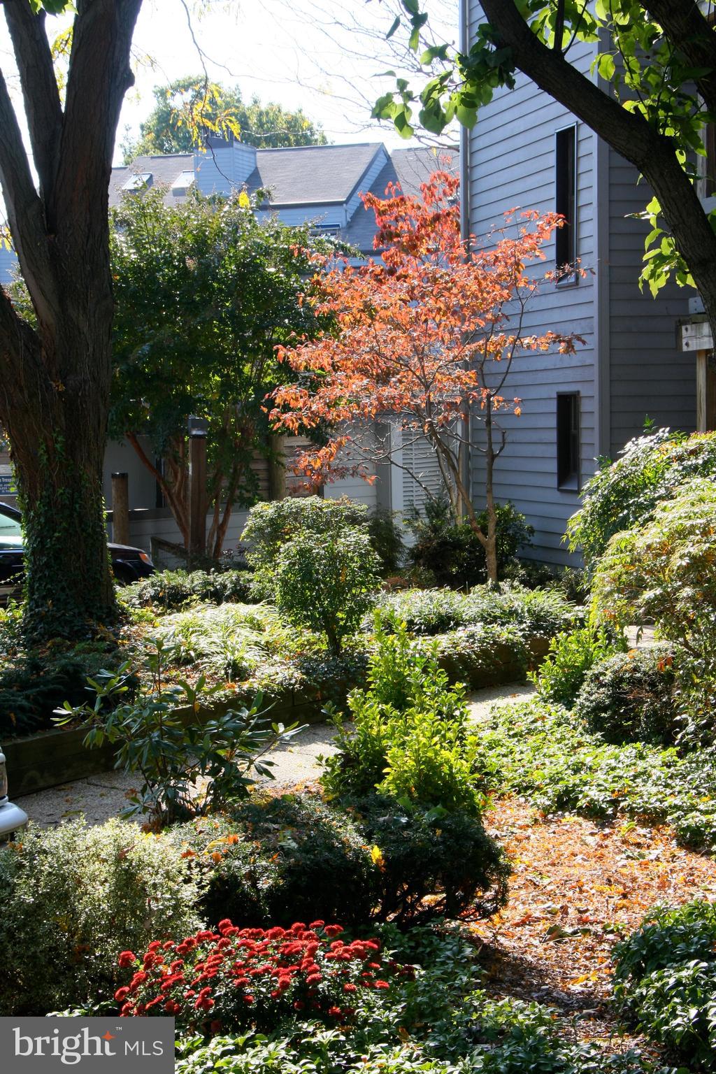 SHEARWATER - Residential